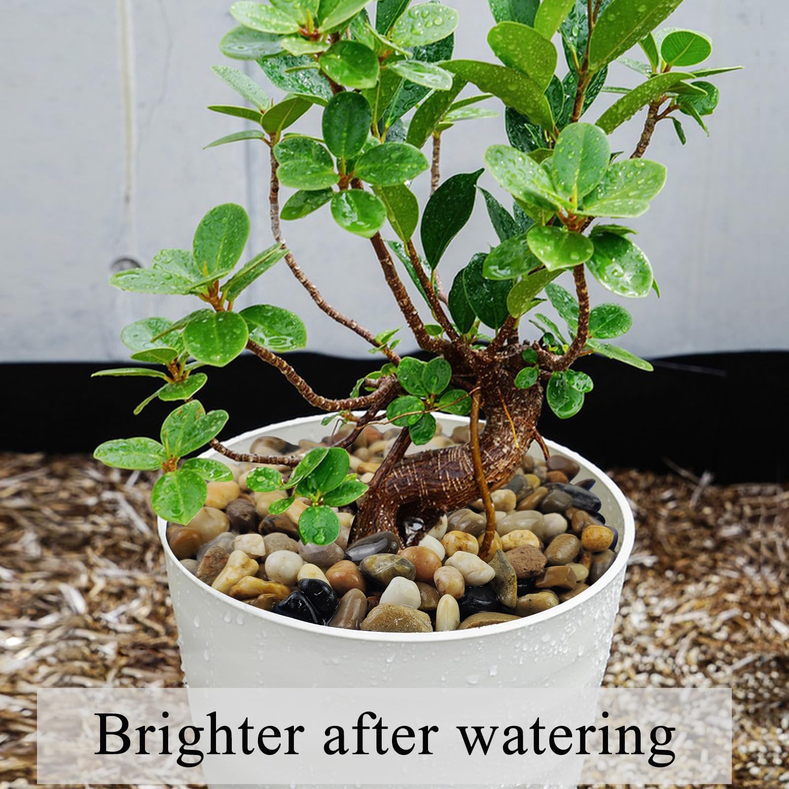 FANTIAN 5 lbs Gravel for Fish Tank, 2/5 Inch Mixed Color River Rocks for Aquarium, Vase Fillers, Cactus Bonsai, Plant Soil Cover