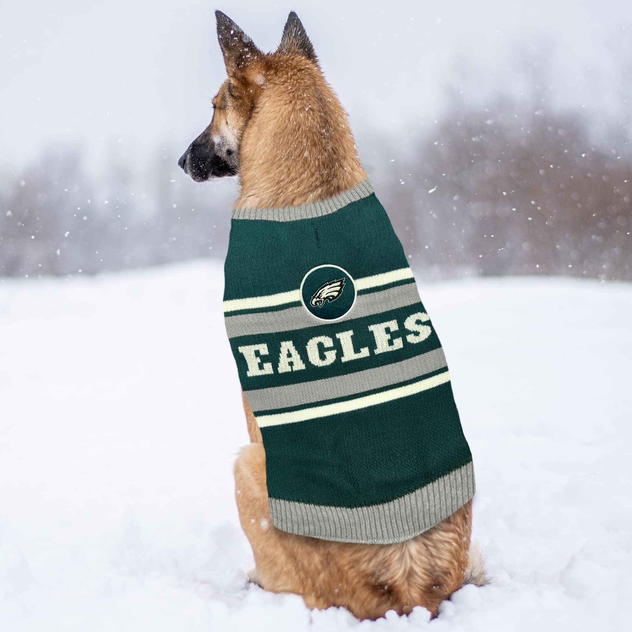 Pets First NFL Philadelphia Eagles Dog Sweater, Medium, Warm Knit Wool Blend, Cozy Pet Apparel with Team Logo