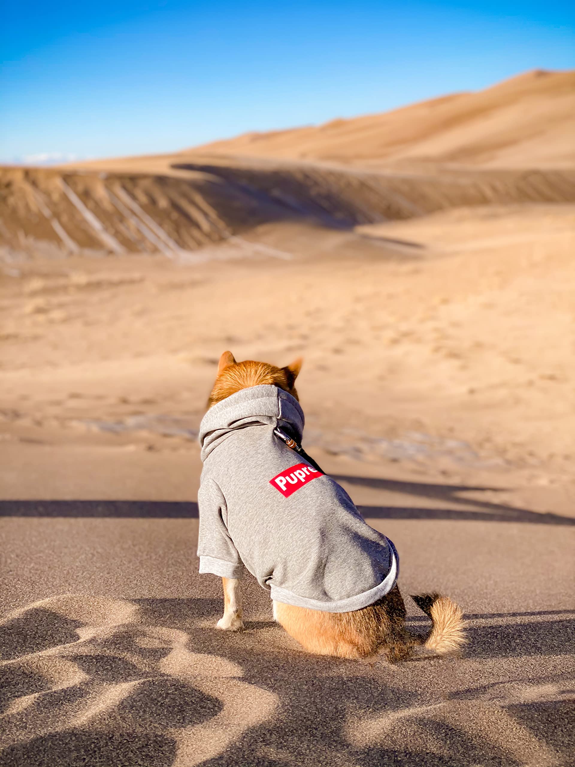 Chochocho Pup Dog Hoodie, Dog Sweater, Fashion Dog Clothes, Pet Clothing Cotton Cat Hoodies Stylish Streetwear Sweatshirt Gray T