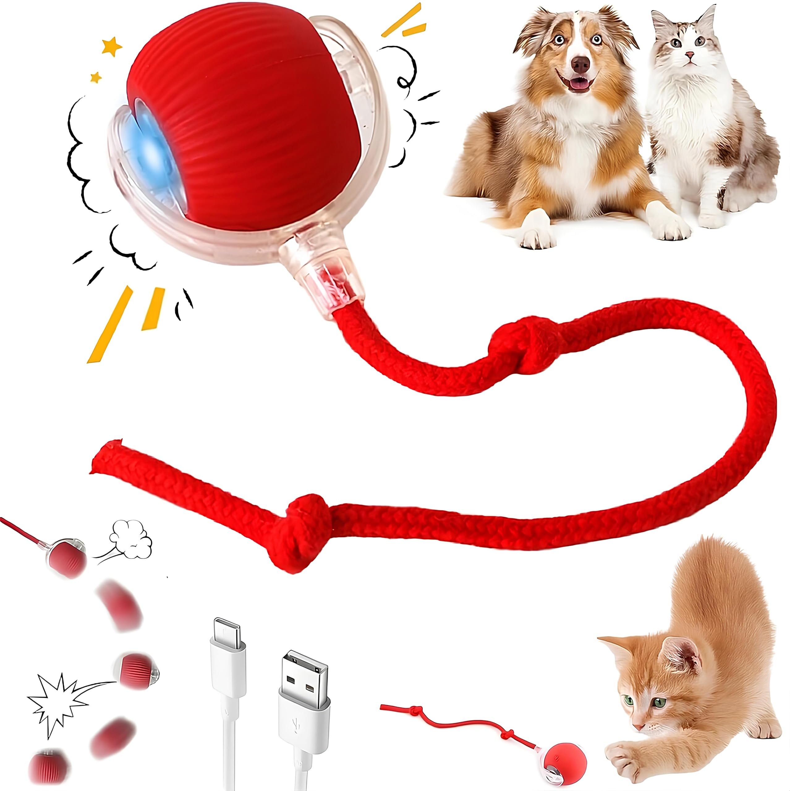 Purrmitive 2026 Durable Interactive Cat Toys for Indoor Cats, Dog Toys Ball, Rolling Pet Ball, Smart Automatic Cat Chase Balls T