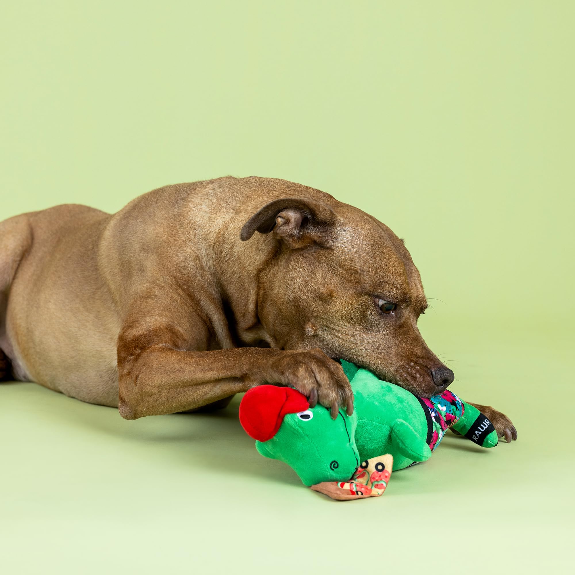 Fringe Studio ''Pizzasaurus REX Plush Dog Toy, Pet Shop Collection (314431)