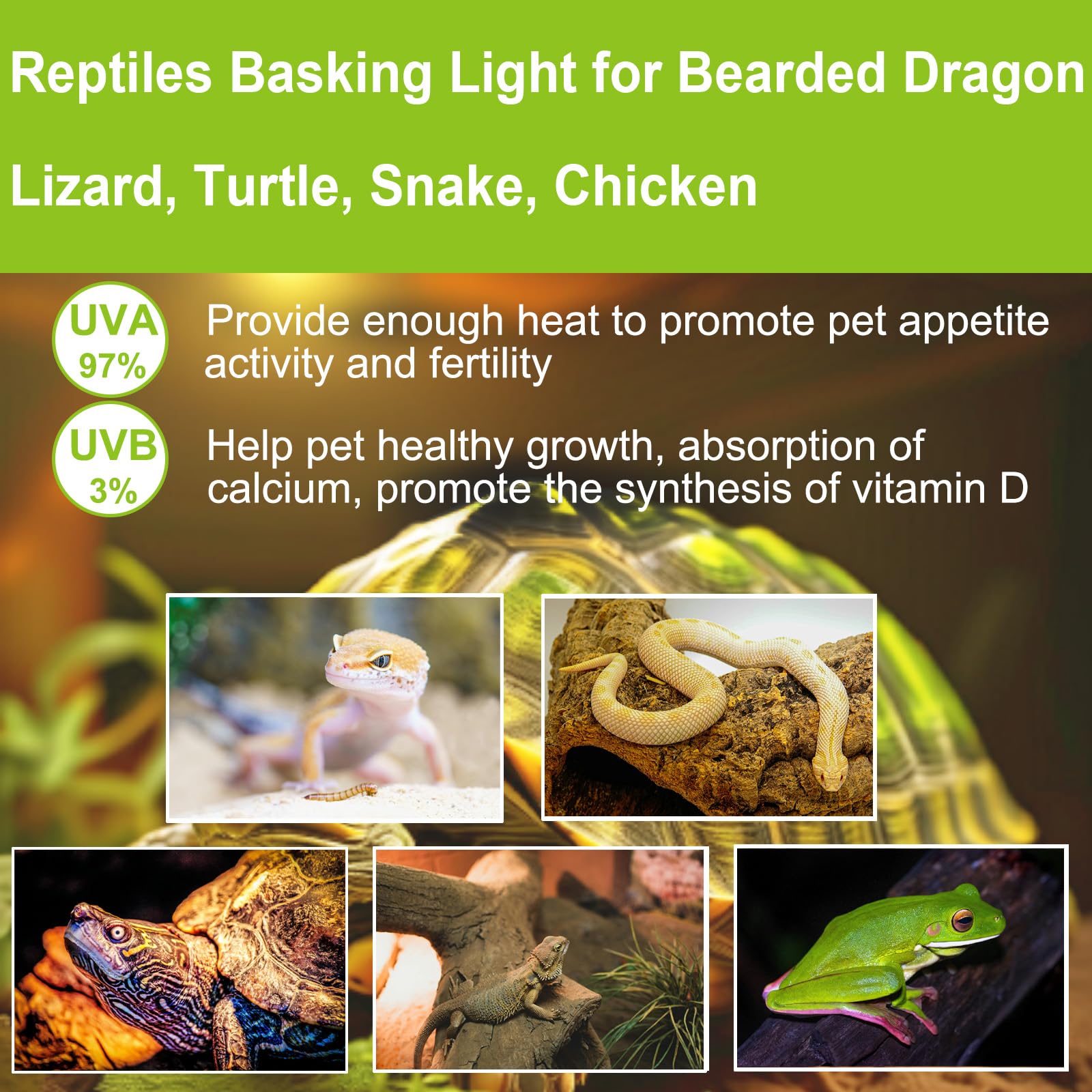YEGRUEB UVB UVA Reptile Light Bulb 50W Bulb for Reptiles and Amphibians Use for Turtle, Bearded Dragon, Lizard Cages Heat Lamp R