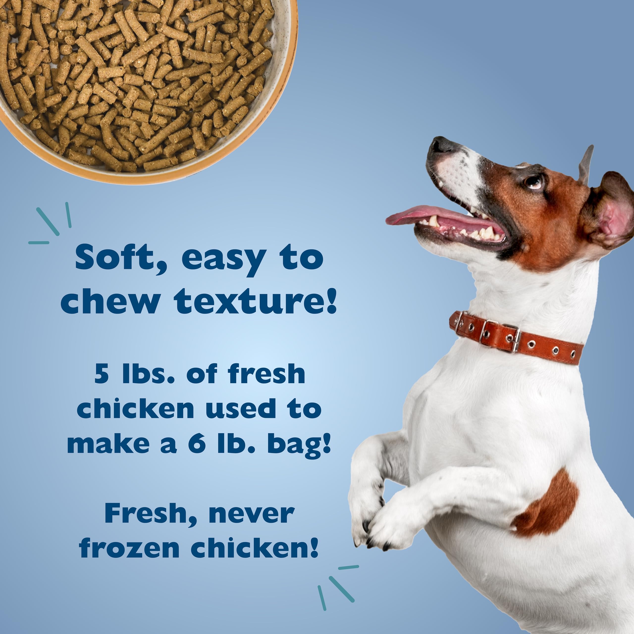 Bil-Jac Picky No More Small Breed Chicken Liver Dry Dog Food 6 Pounds (2-Pack)