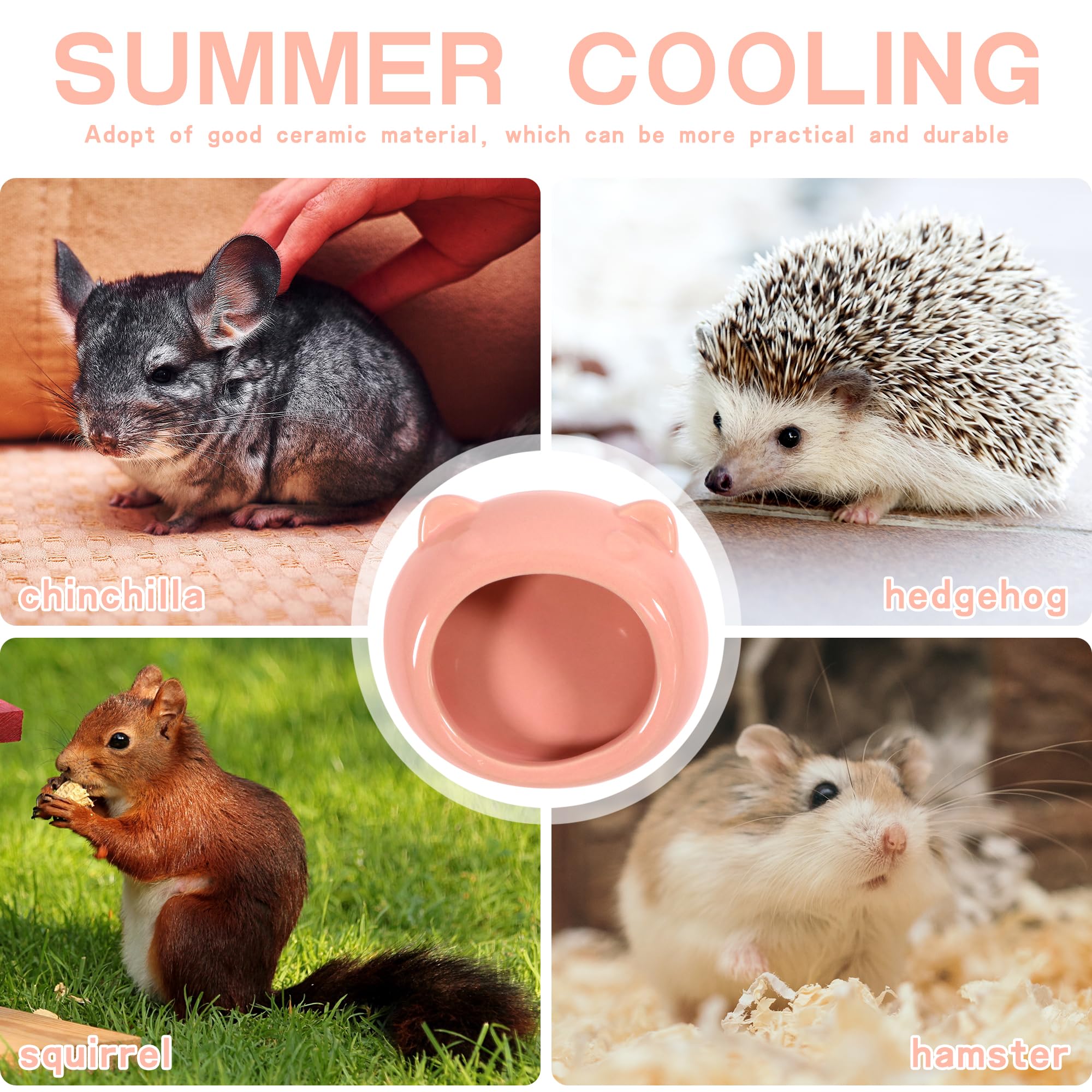 Ceramic Small Pet Hamster Food Bowl Guinea Pig Food Bowls Hamsters Water Bowl Ferret Chinchillas Squirrels Hedgehog Accessories