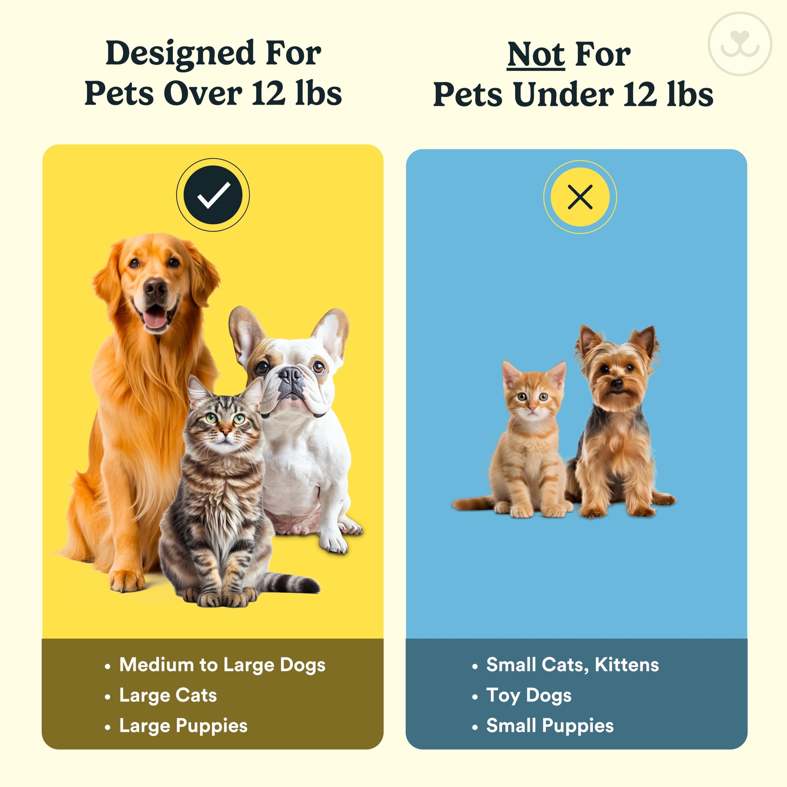 Jasper Dog Toothbrush, 360 Dog Tooth Brushing Kit, Finger Toothbrush, Cat Tooth Brush, Teeth Cleaning, Pet Tooth Brush for Small