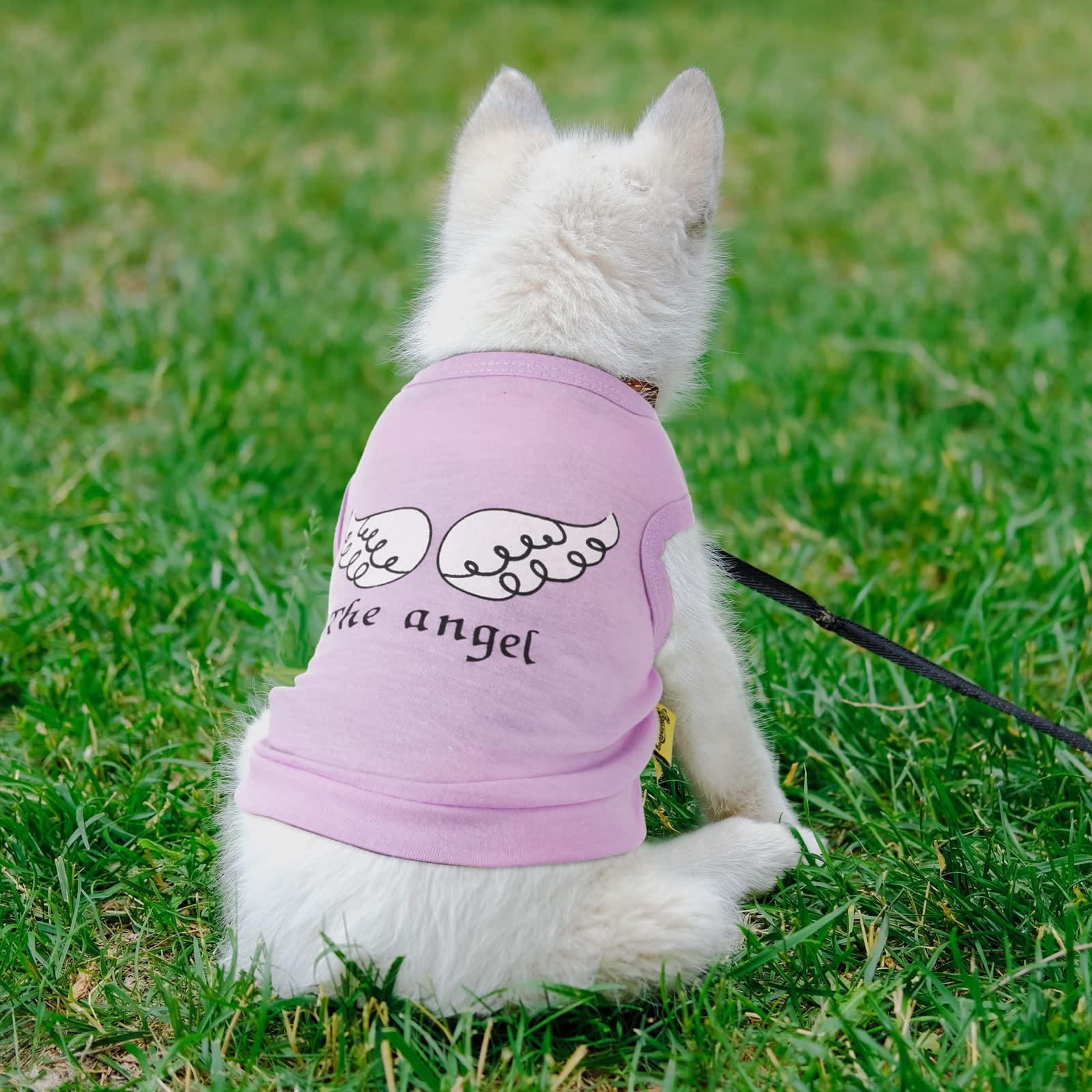 8 Pieces Pet Shirts Printed Puppy Soft Dog Shirt Pullover T Cute Sweatshirts Valentine'S Day Girl Clothes Outfits Small For Dogs