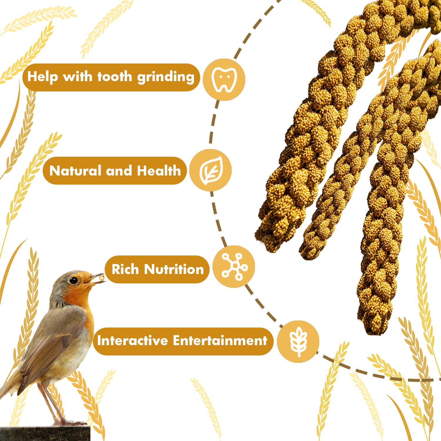 Jmxus 1LB Spray Millet Treat for Birds Parakeets, Natural Sun-Dried Birds Millet for Cockatiel, Budgie, Finches, Parrots, Hamst