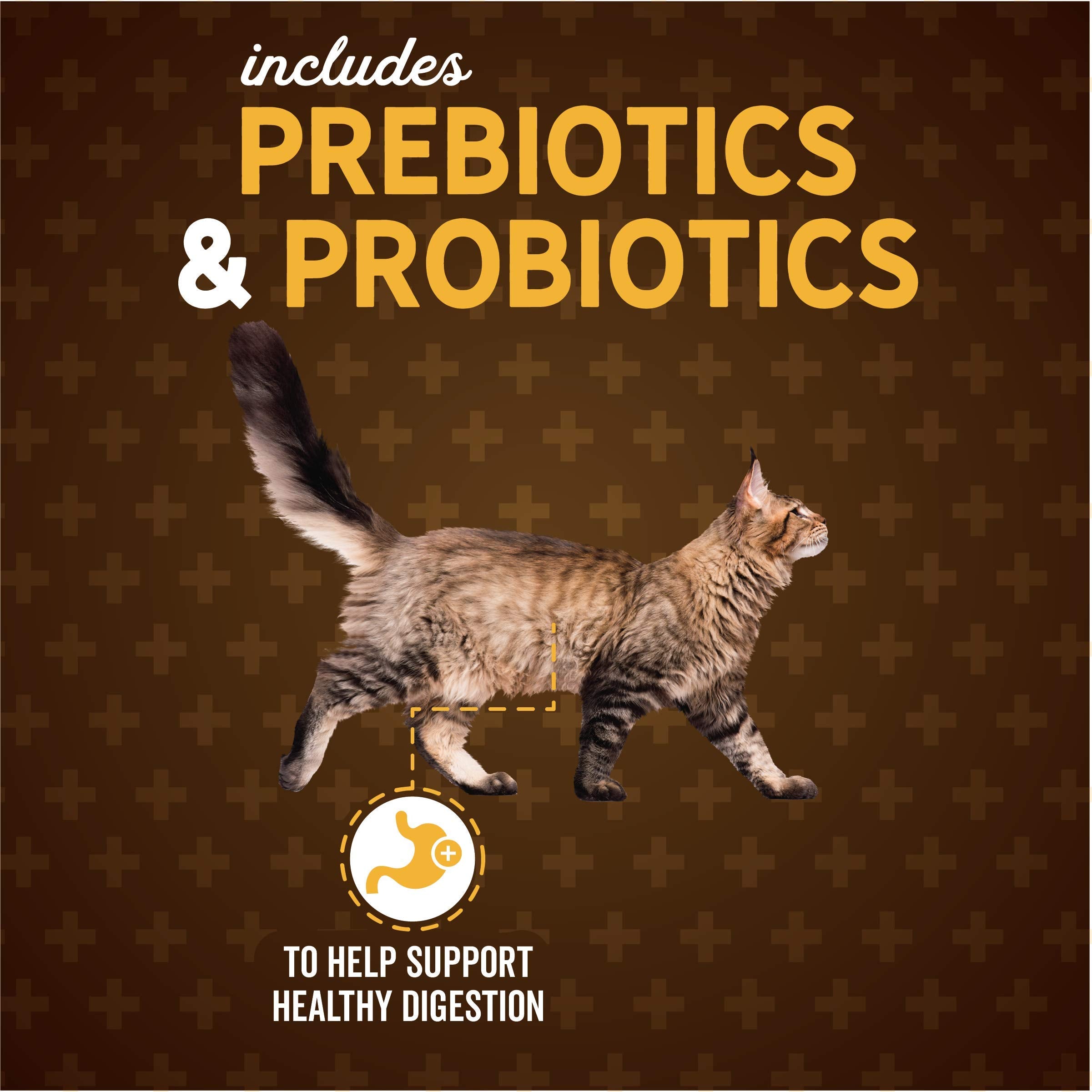 Evolve Classic Cat Food - Deboned Salmon, Brown Rice & Sweet Potato, 14lb, Seafood Flavor