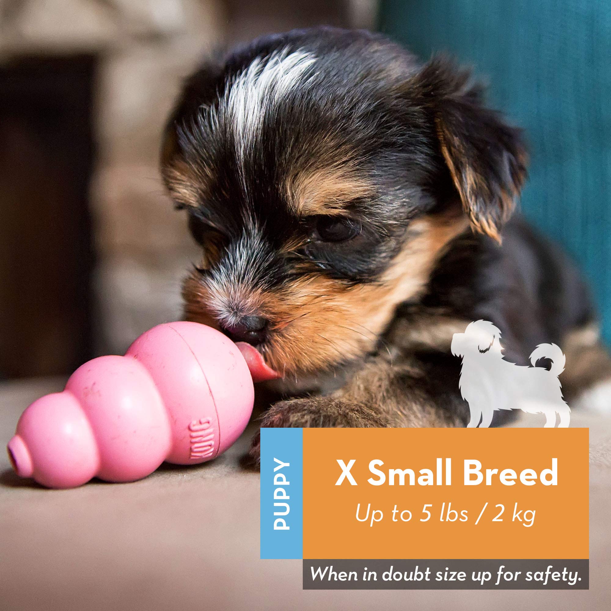 KONG Puppy Teething Rubber Chew Toy - Stuffable Fetch Toy for XS Puppies - Pink - Durable, Safe, Perfect for Chewing and Playtime