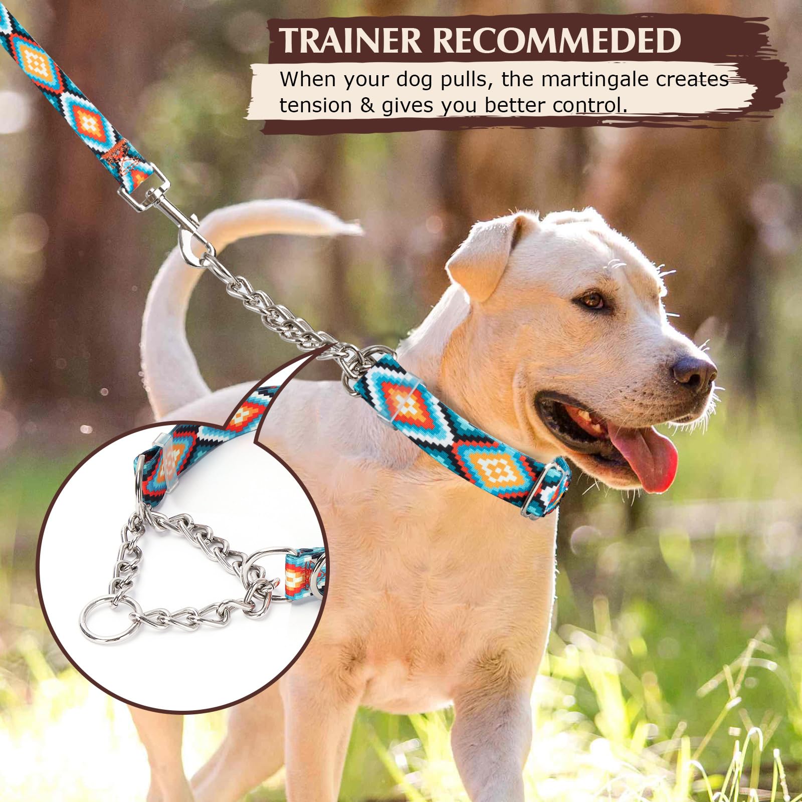 Martingale Collar For Dogs With Steel Chain, No Pull Dog Training Collar With Special Tribal Pattern, Adjustable No Choke Dog Co