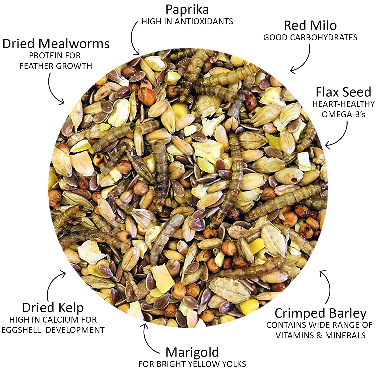 Chicken Ecstasy (8.5 lb) - Healthy All-Natural Backyard Chicken Feed - Natural Grains, Dried Mealworms & Natural Extracts - Prom