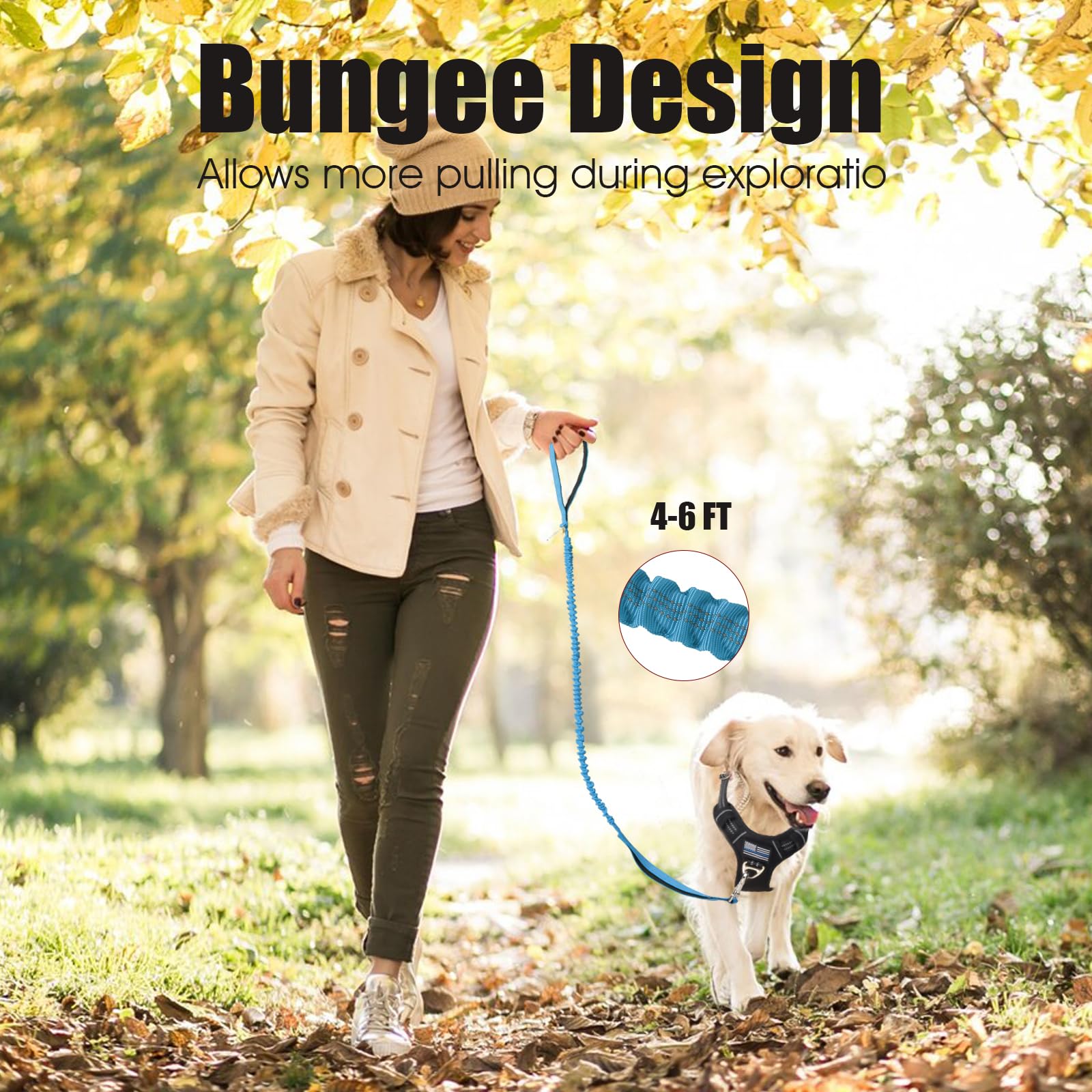 BUMBIN 6Ft Bungee Leash With 2 Handles for Large, Medium, Small Dogs - Heavy Duty, No Pull, Shock Absorbing With Car Seat Belt f