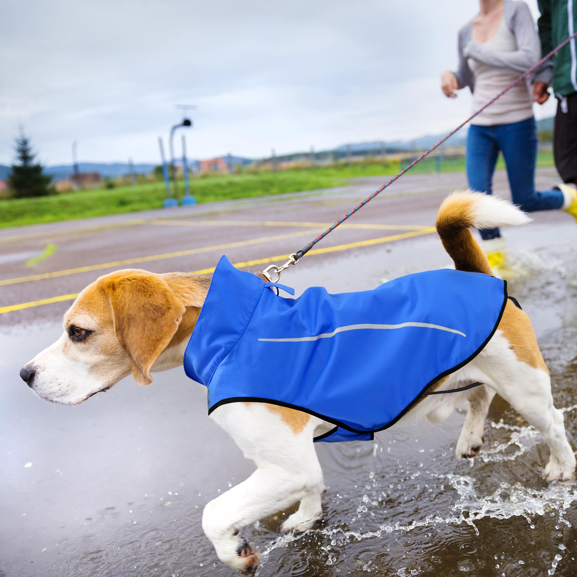 Mile High Life | Dog Raincoat | Adjustable Water Proof Pet Clothes | Lightweight Rain Jacket With Reflective Strip | Easy Step In Closure, Blue, Small
