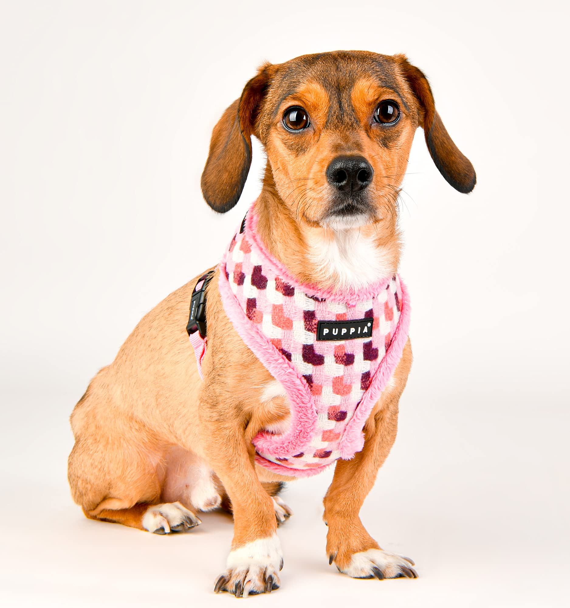 Puppia Arden Harness A - Pink - M