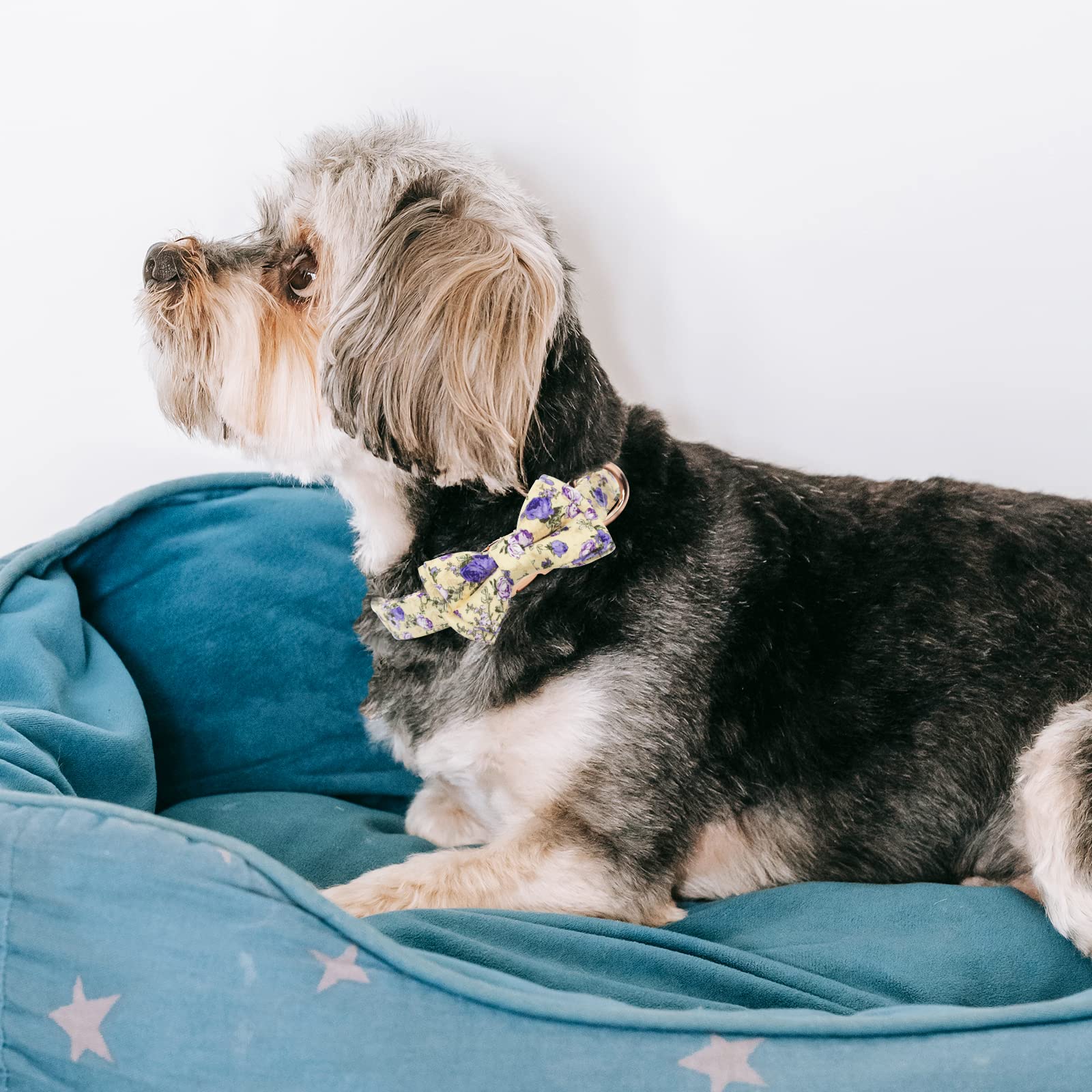 HSIGIO Dog Collar and Leash Set Girls Adjustable Puppy Collars with Floral Bow Tie for Small Medium Large Female Dogs, Purple Ro
