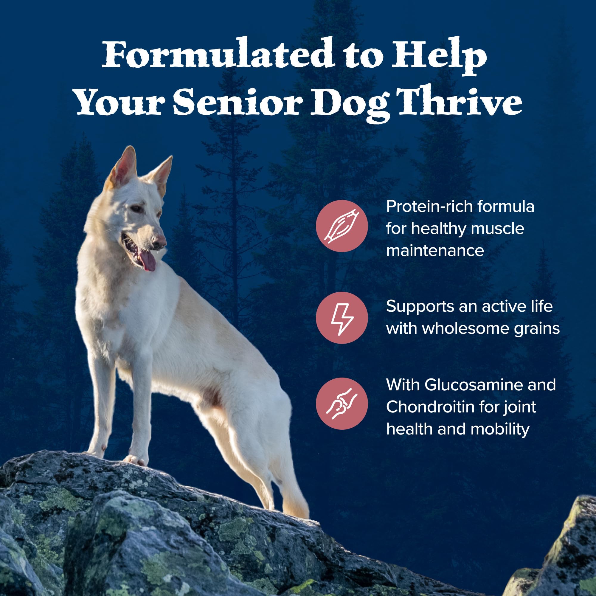 Blue Buffalo Wilderness High-Protein Natural Dry Food for Senior Dogs, Salmon Recipe, 13-lb. Bag
