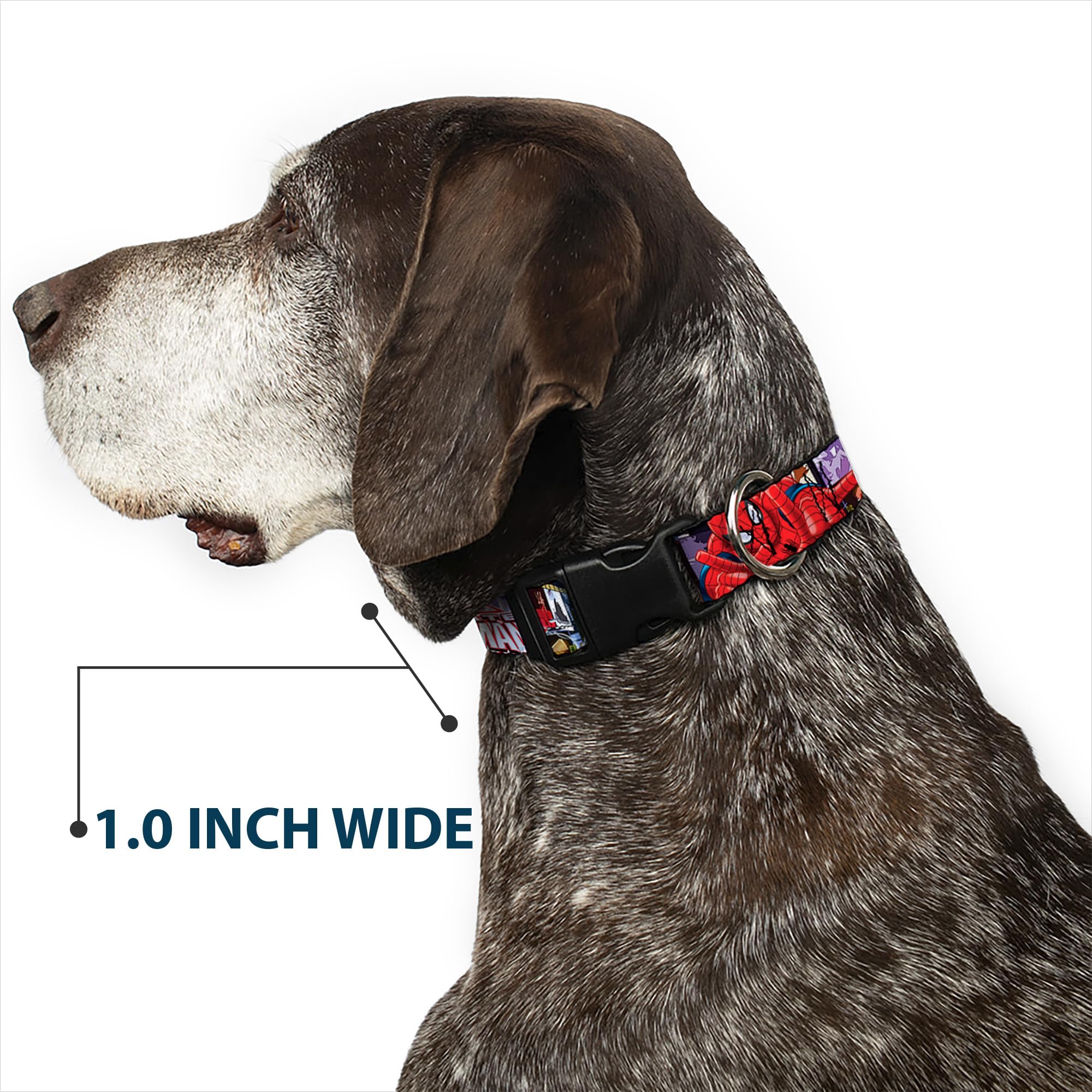 Dog Collar Plastic Clip The Ultimate Spider Man Swinging City Poses 16 to 23 Inches 1.5 Inch Wide