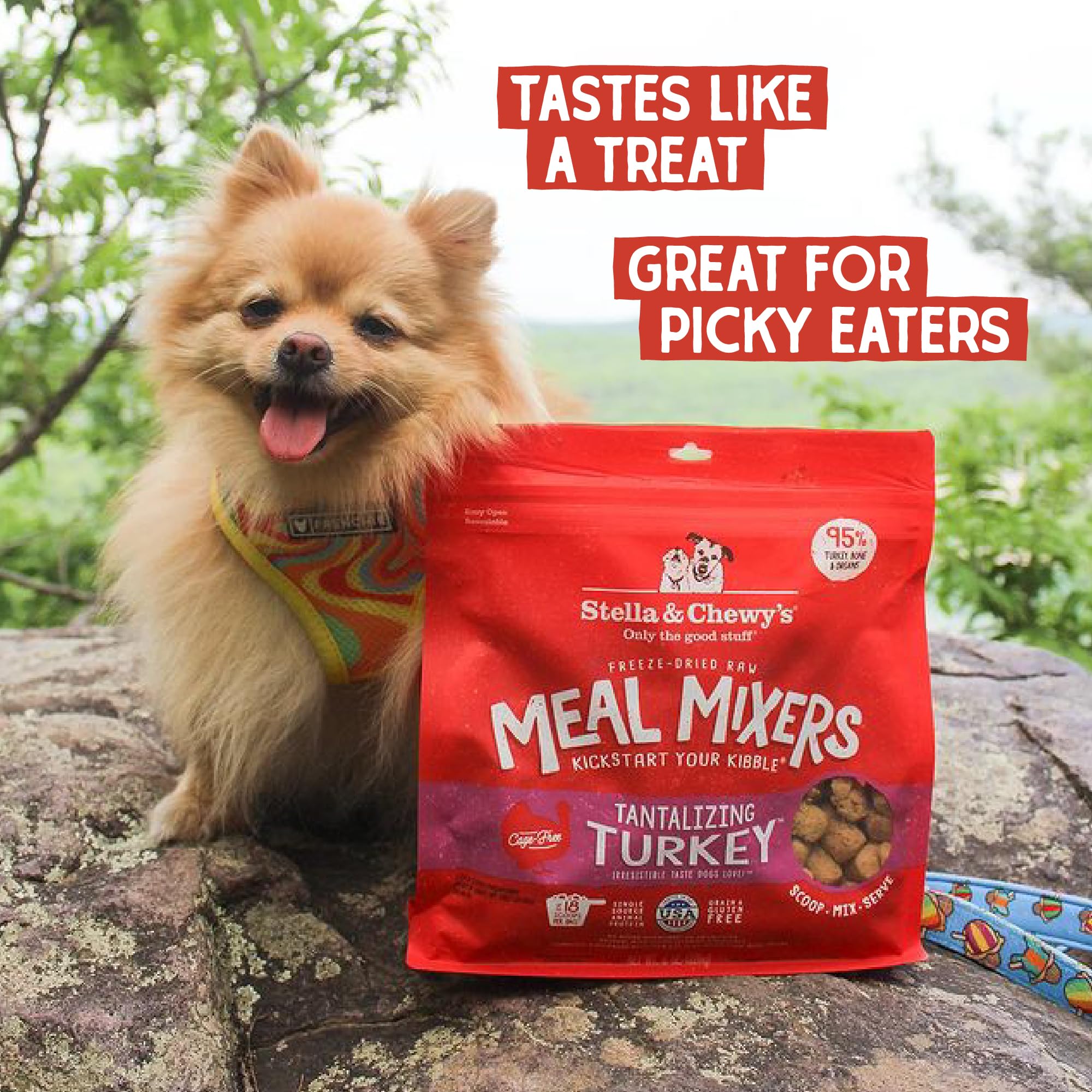 Stella & Chewys Freeze Dried Raw Tantalizing Turkey Meal Mixer - Dog Food Topper for Small & Large Breeds - Grain Free, Protein