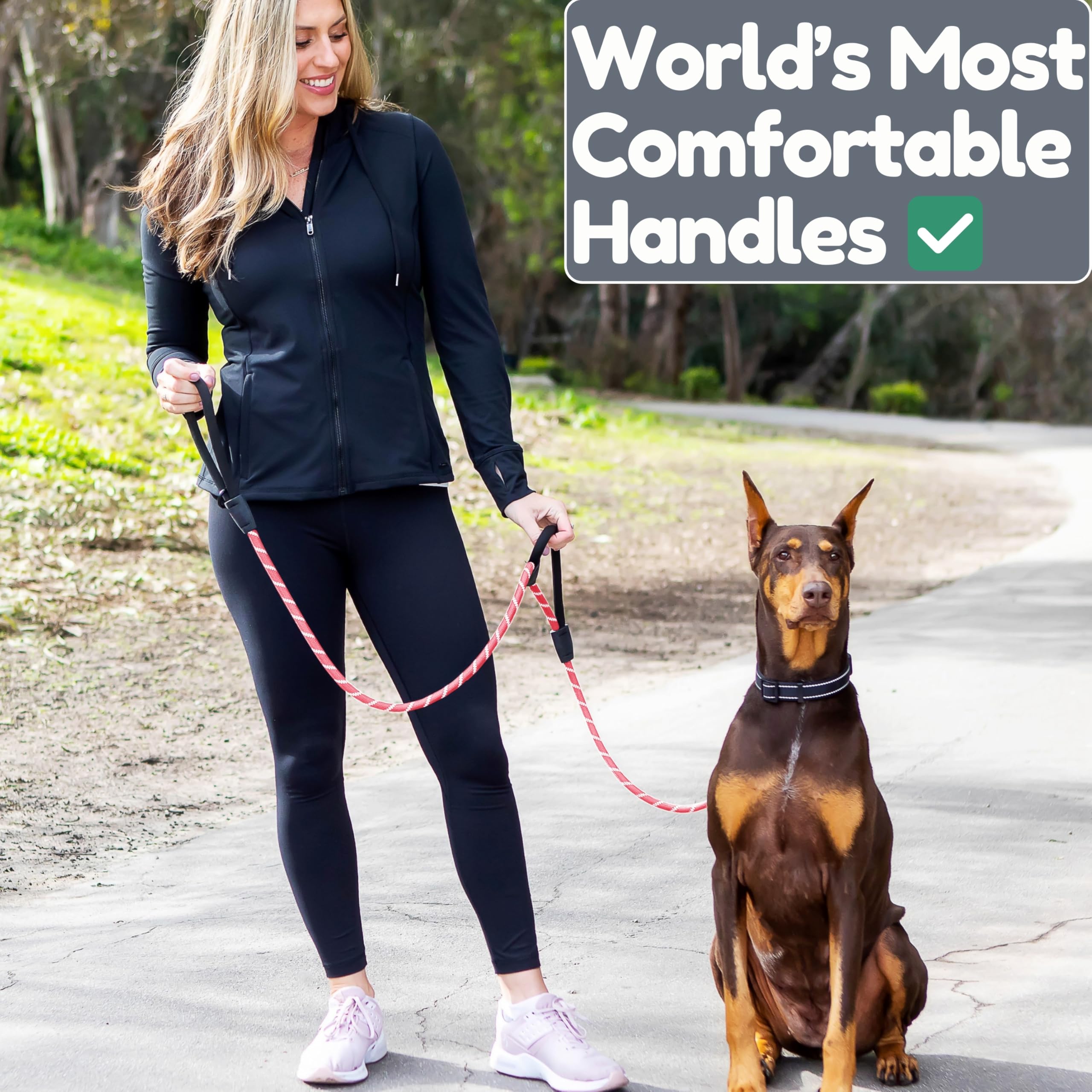 6 Foot Dog Leash, Two Extra Padded Handles, Heavy Duty Dog Leash for Medium to Large Pets, Highly Reflective, Shock-Absorbing No