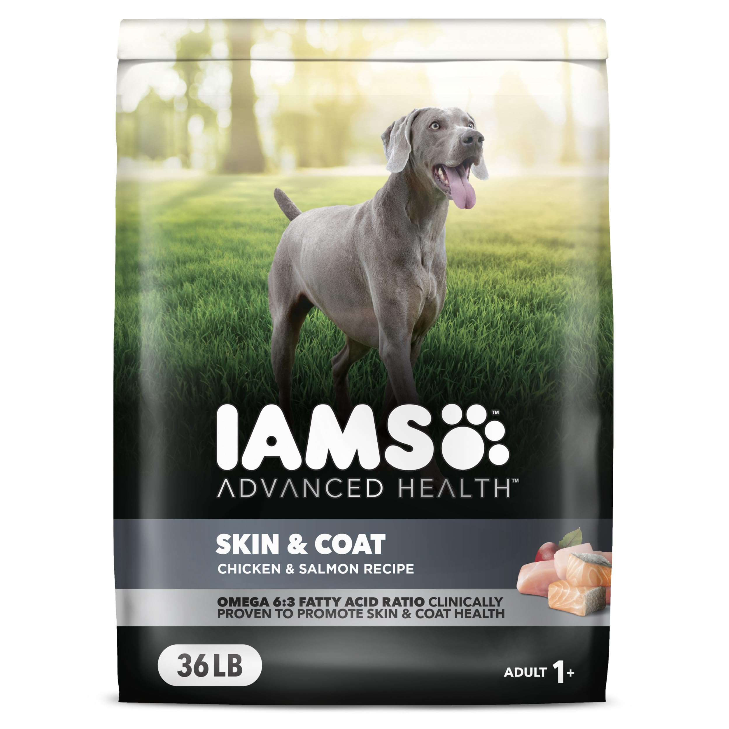 IAMS Advanced Health Skin & Coat Chicken and Salmon Recipe Adult Dry Dog Food, 36 lb. Bag Brown