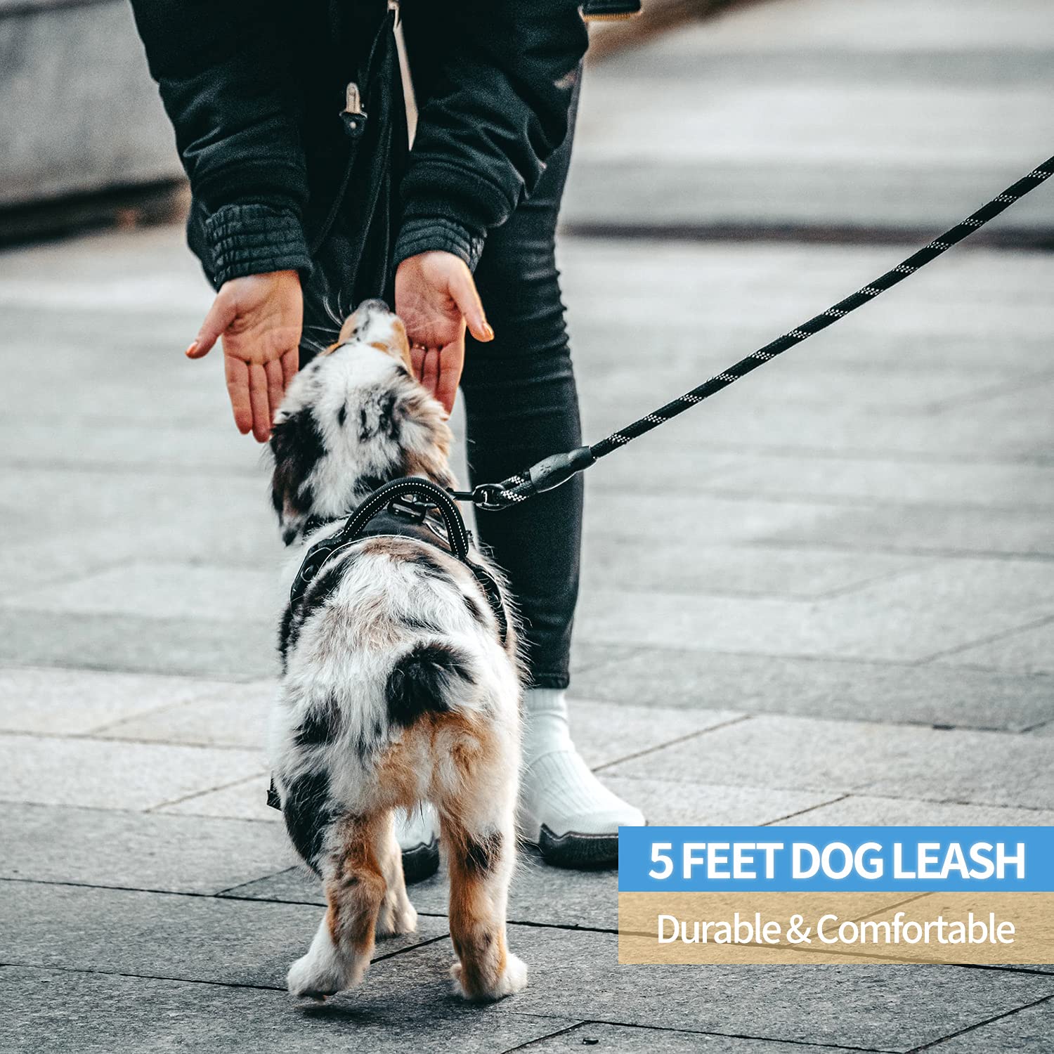 Baapet 2/4/5/6 Ft Dog Leash With Comfortable Padded Handle And Highly Reflective Threads For Small Medium And Large Dogs (5Ft-1/2'', Black)