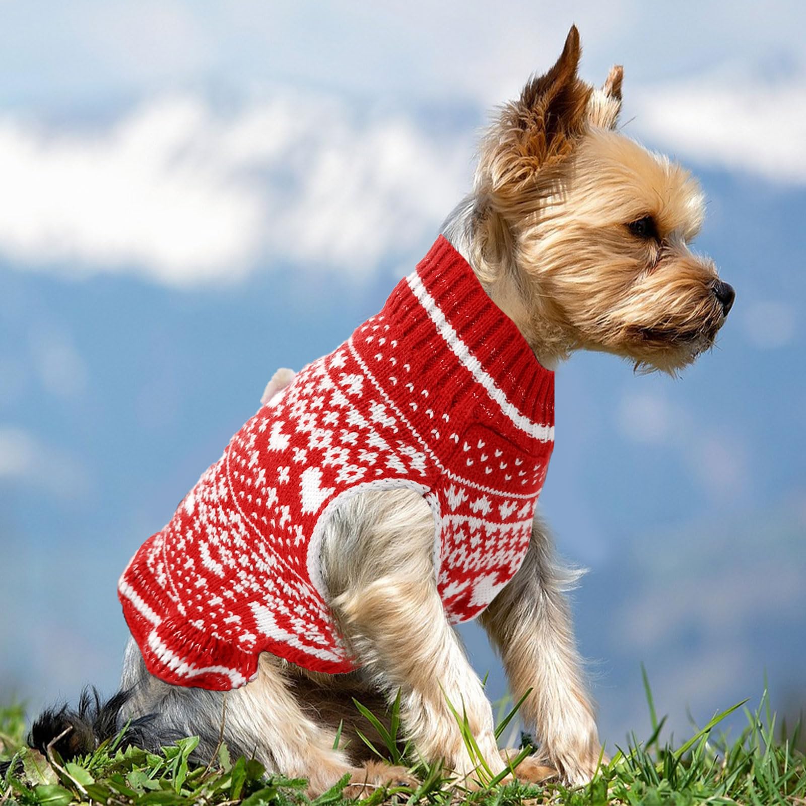 Axiijgl Dog Christmas Sweater Christmas Dog Dress Small Dog Christmas Outfits With Leash Hole Small Dog Sweater Female Cute Xsma