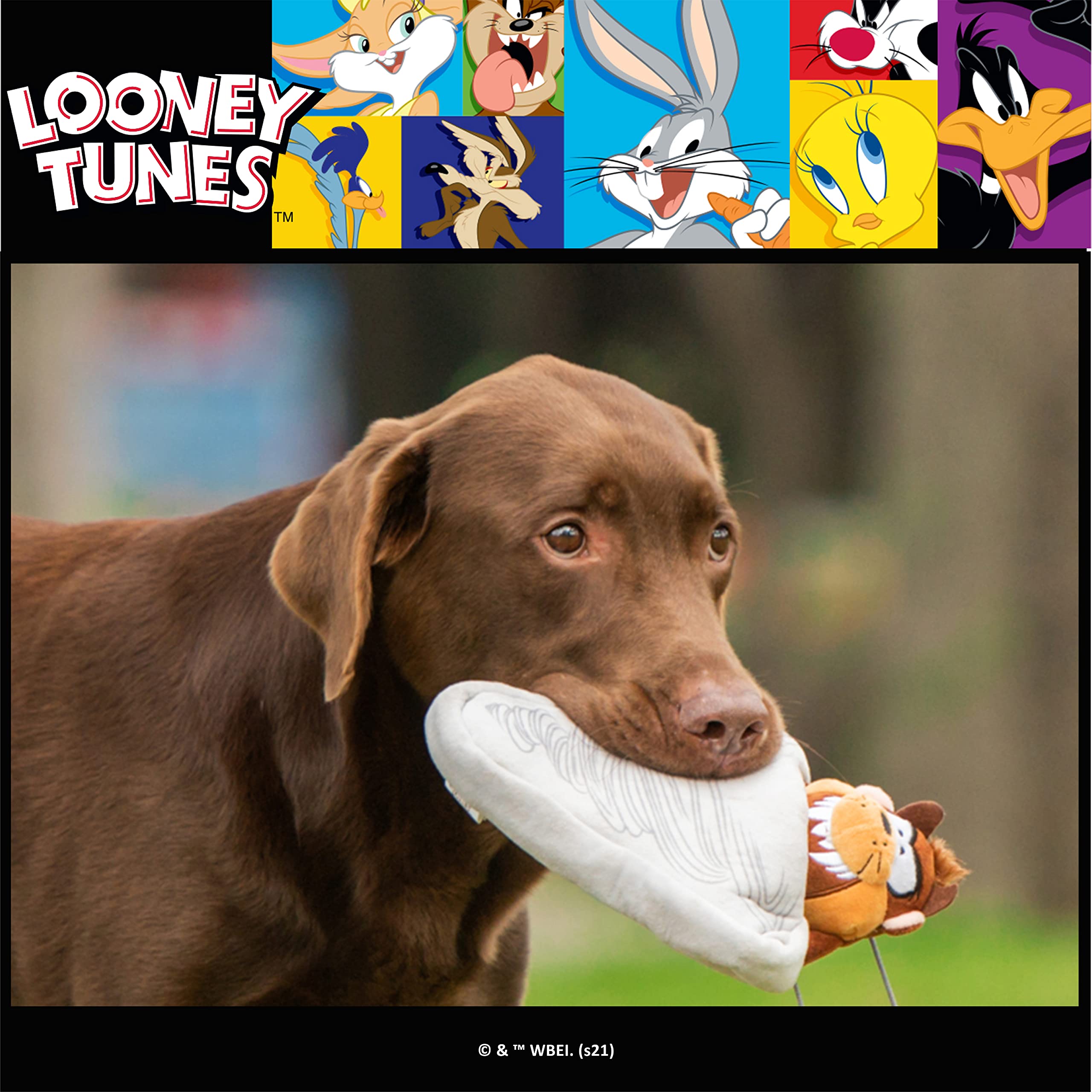Looney Tunes For Pets Brown Tasmanian Devil Taz Burrow Dog Toy For All Dogs  Fabric Hide And Seek Dog Toys For All Dogs, Interac