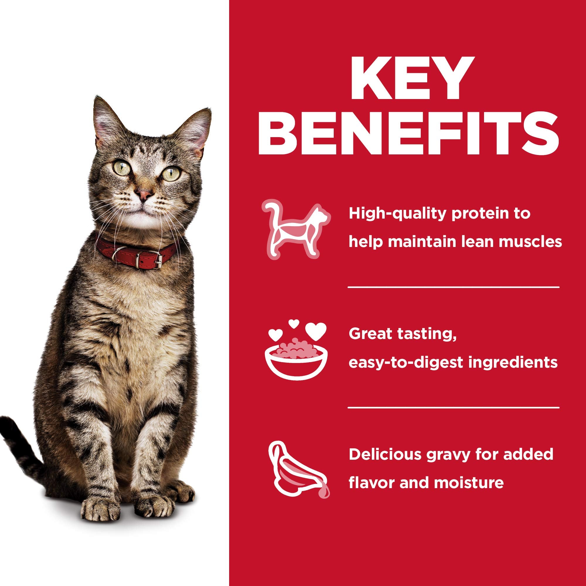 Hills Science Diet Adult 1-6, Adult 1-6 Premium Nutrition, Wet Cat Food, Variety Case: Tuna, Chicken, Ocean Fish Stew, 2.8 oz P