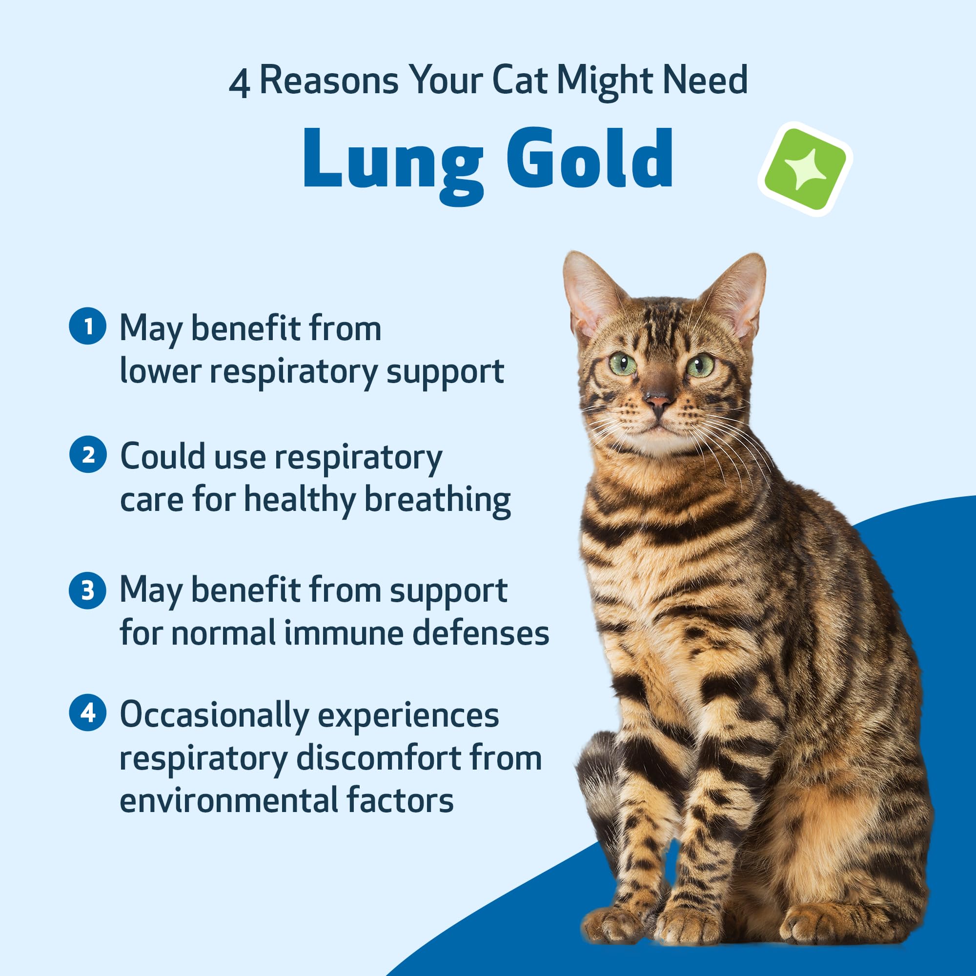 Pet Wellbeing Lung Gold for Cats - Lung Immune Support, Lower Respiratory Health, Open Airways, Normal Breathing, Reishi, Coptis