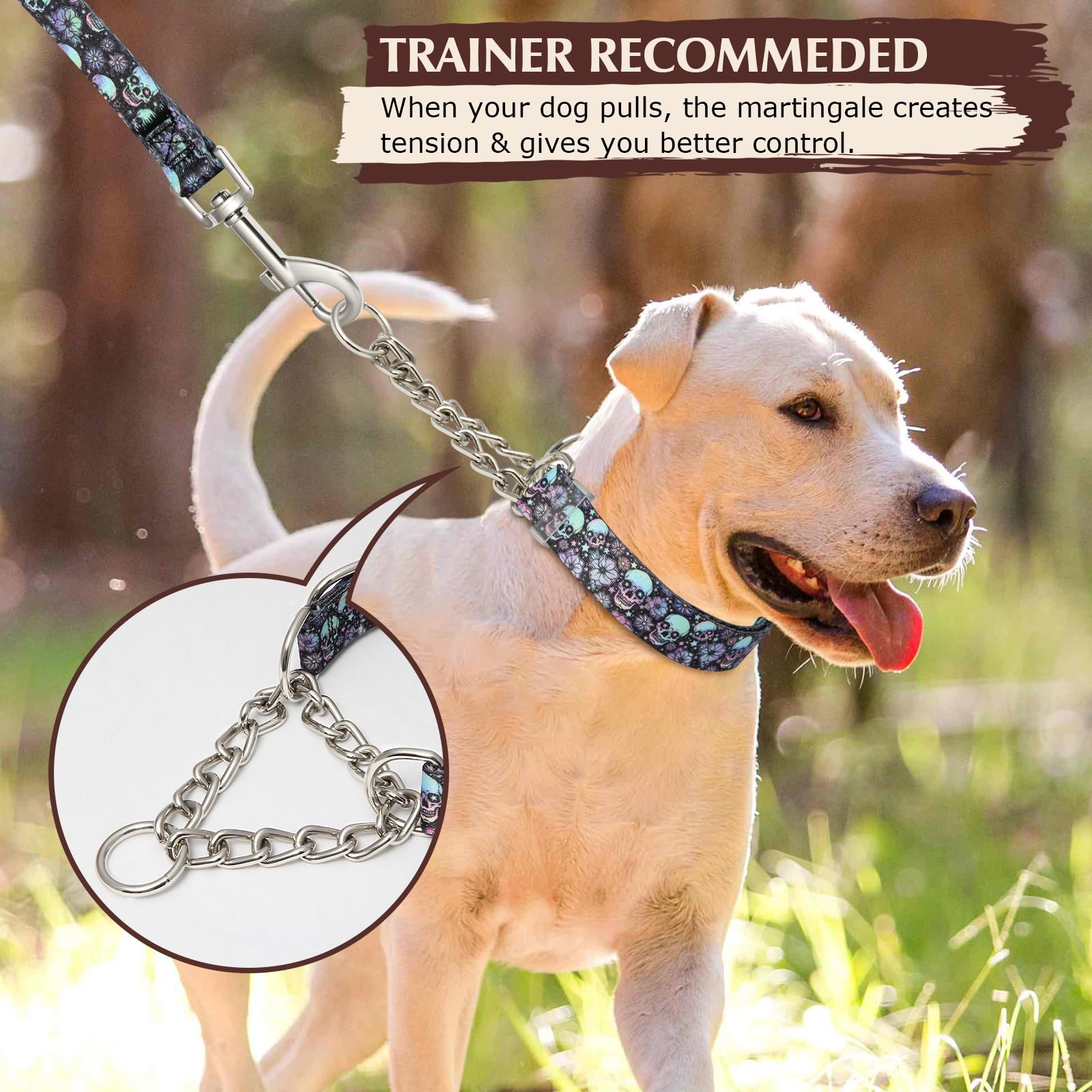 Martingale Collar For Dogs With Skull Design, Trainer Approved Limited Slip Collar With Stainless Steel Chain, Adjustable No Cho