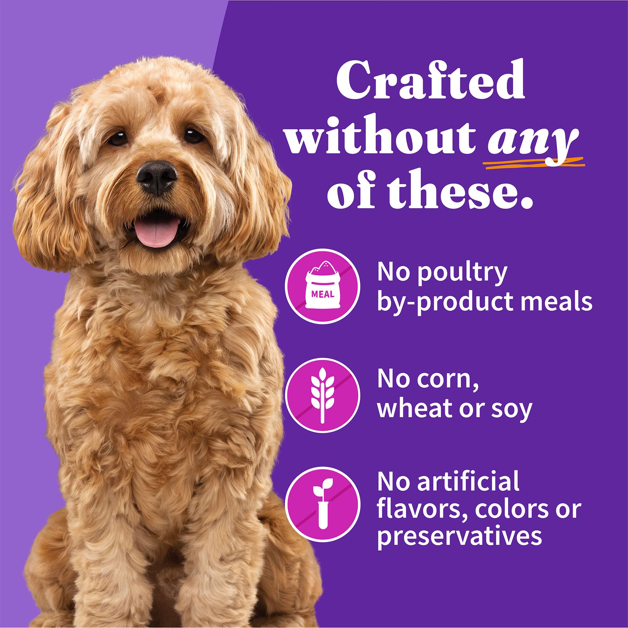 Halo Wet Dog Food For Small Dogs, Grain Free, Turkey & Duck 5.5 Ounce (Pack of 12)