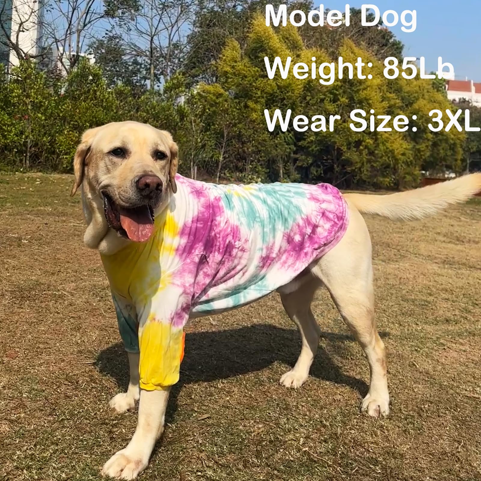 PriPre Dog Cotton Colorful Purple Yellow T-Shirts Soft and Stretchy Dog Shirt Pajamas Pets Clothes for Large Dogs(Large Purple)