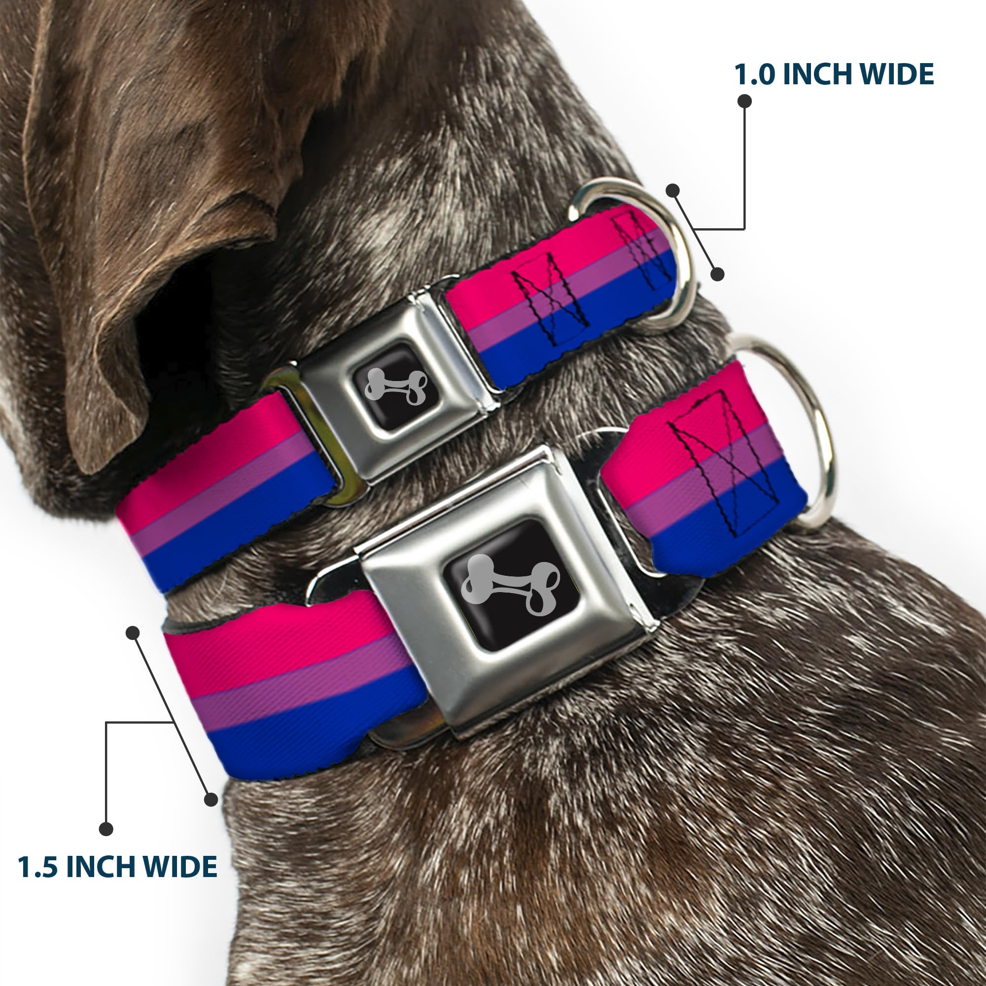 Dog Collar Seatbelt Buckle Flag Bisexual Pink Purple Blue 11 To 17 Inches 1.0 Inch Wide
