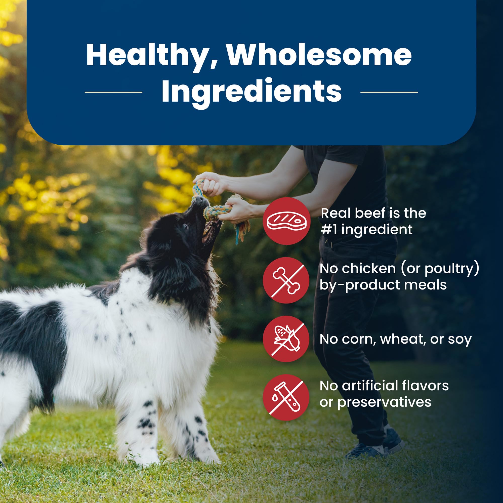 Blue Buffalo Life Protection Formula Adult Dry Dog Food, Helps Build and Maintain Strong Muscles, Made with Natural Ingredients,
