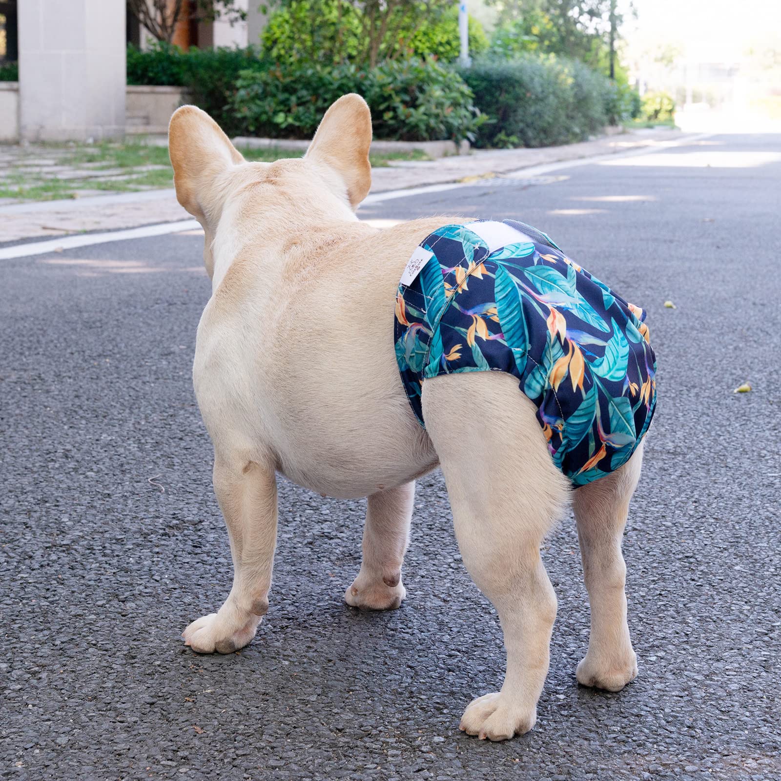 Cutebone Dog Diapers No Tail Hole Female 3 Pack Puppy Training Pants For Docked-Tail Dogs Wwd04M