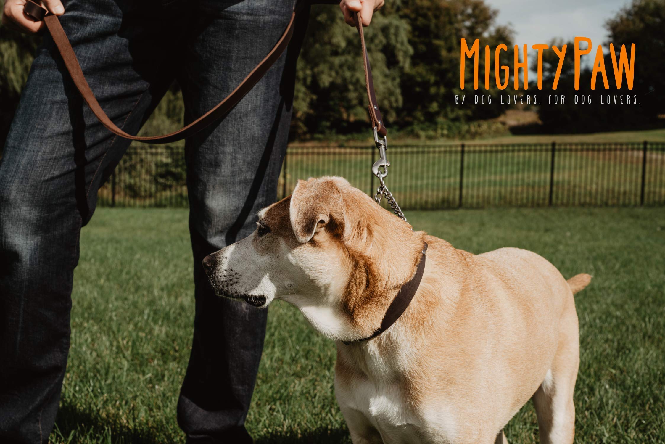 Mighty Paw Martingale Dog Collar - No Pull, Brown Leather, Medium Size, Stainless Steel Chain