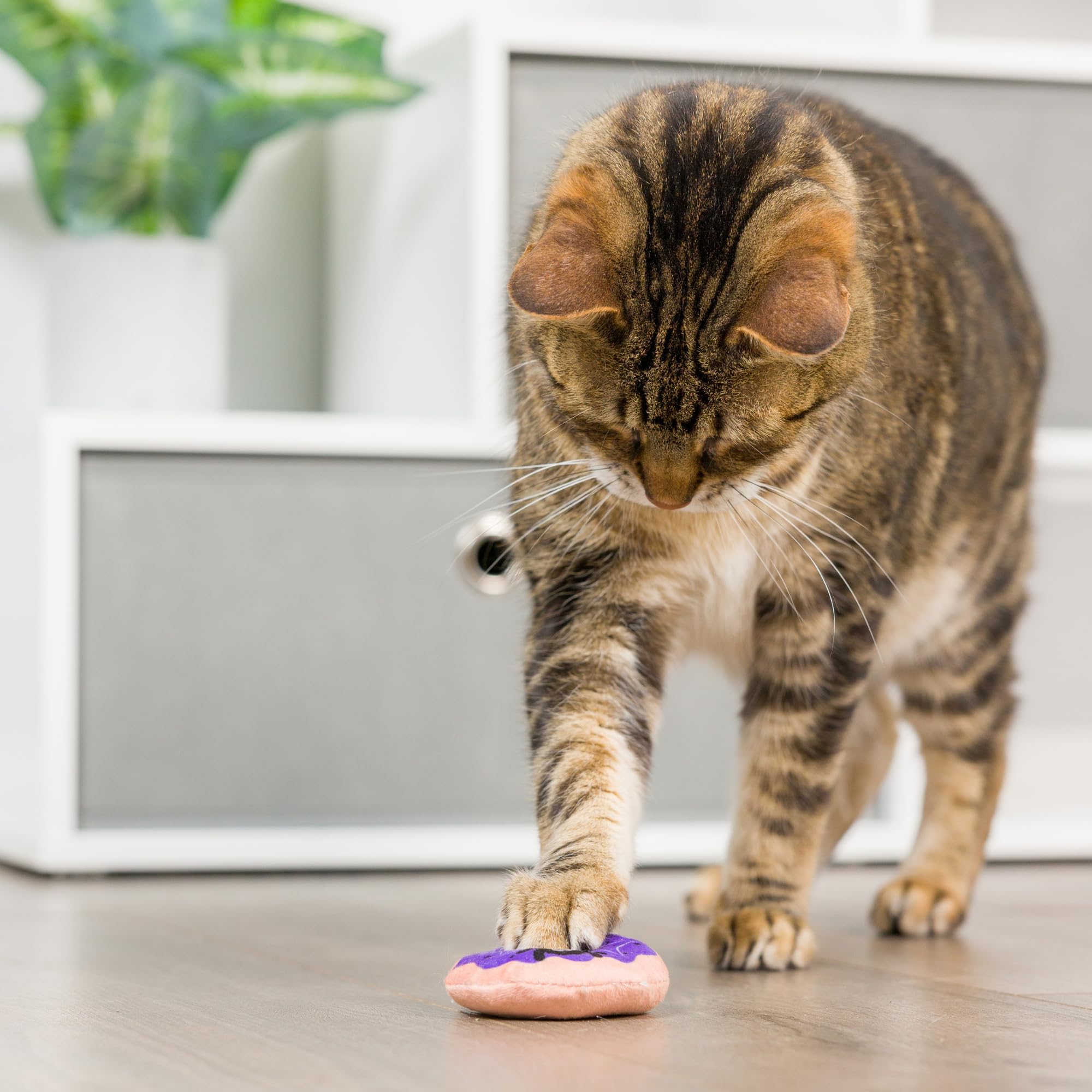 Huxley & Kent 2-Pack Plush Cat Toys | Spiderweb Donut & Black Flame | Halloween Strong Catnip Filled Cat Toy | Plush Kitten And