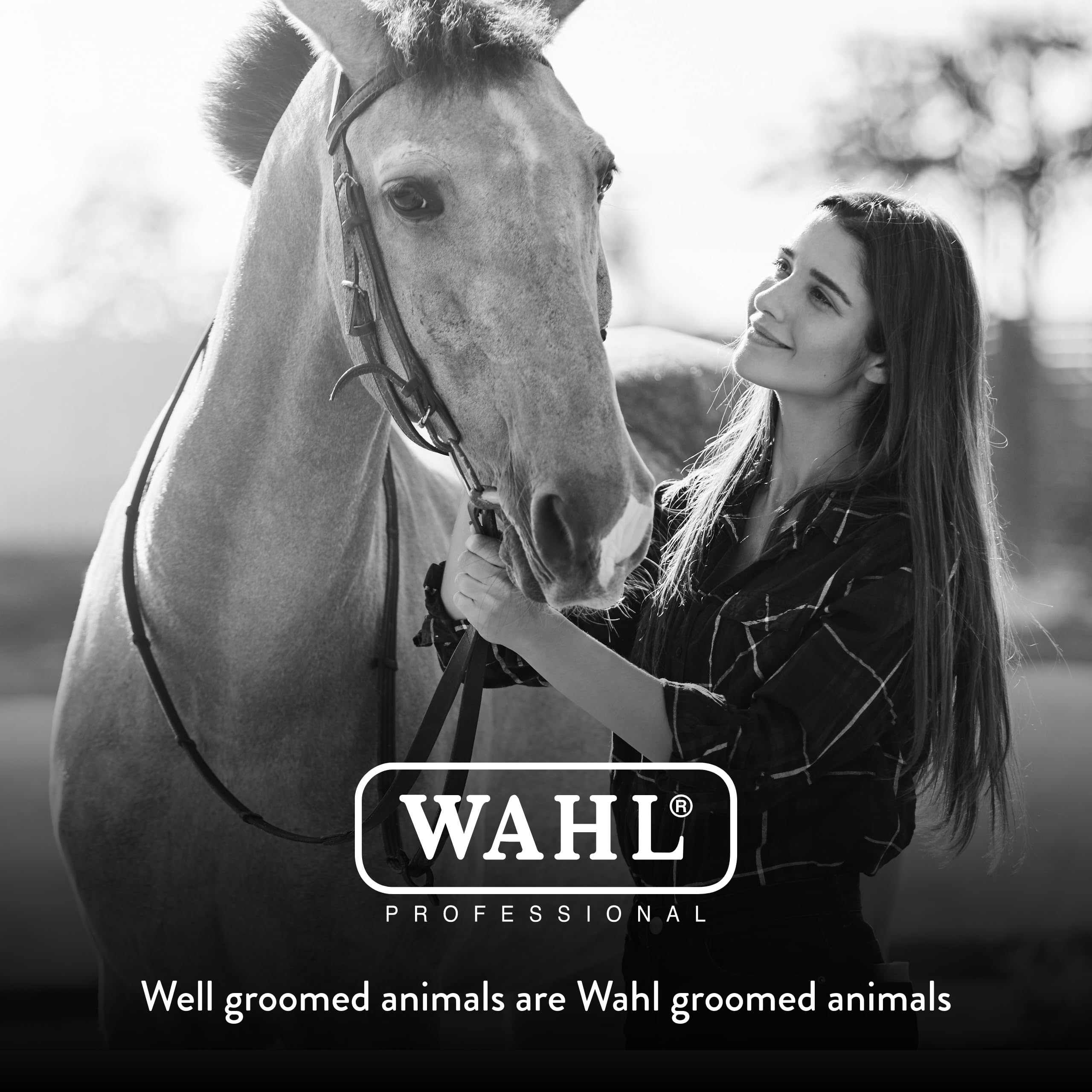 Wahl Professional Animal Equine Grooming Tool - Mane & Tail Brush (#858709-100) For Horses - Black