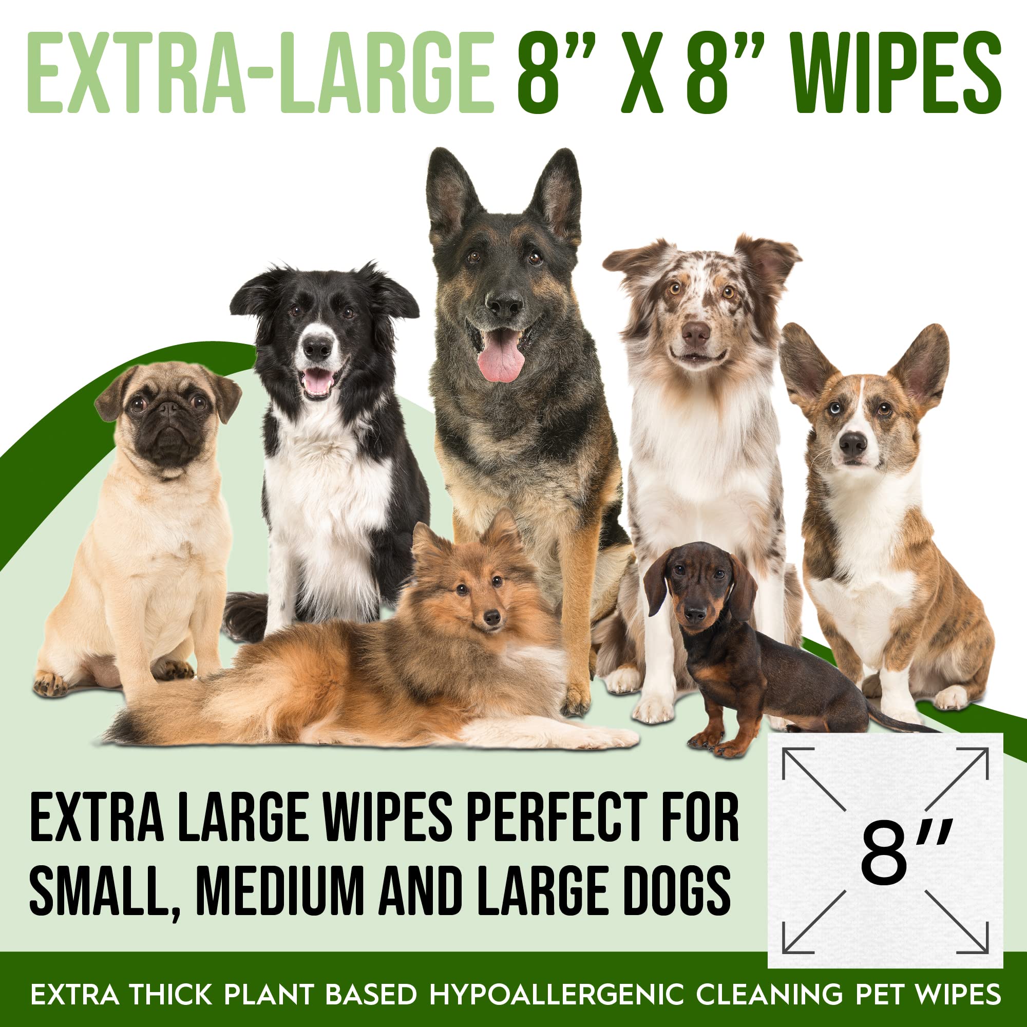 Petazy Dog Wipes For Paws And Butt Ears Eyes  Organic Pet Wipes For Dogs  Hypoallergenic Lavender Scented Dog Wipes Cleaning Deo