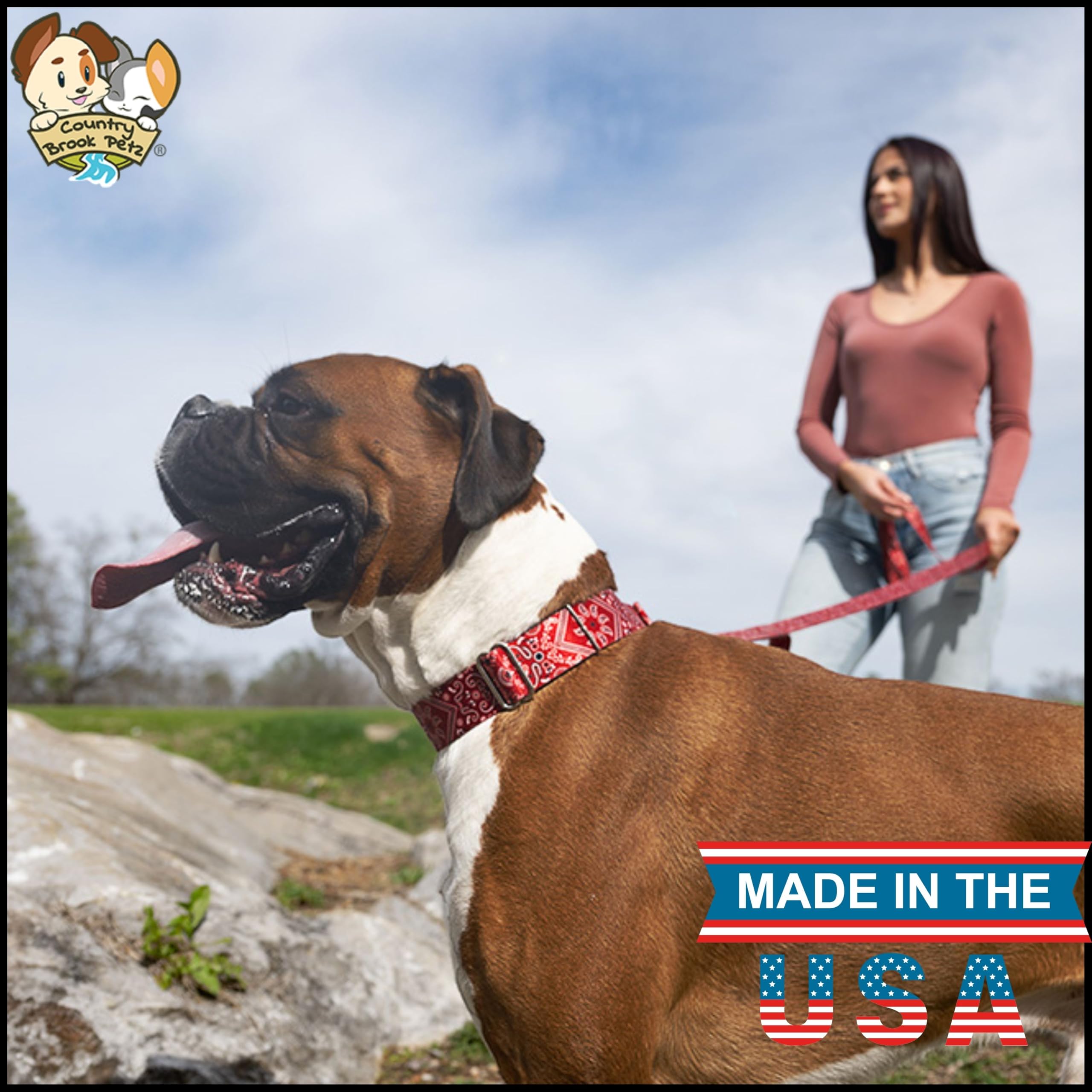 Country Brook Petz - Red Bandana Martingale Dog Collar - Country And Western Collection Featuring Rustic Designs (1 Inch, Large)