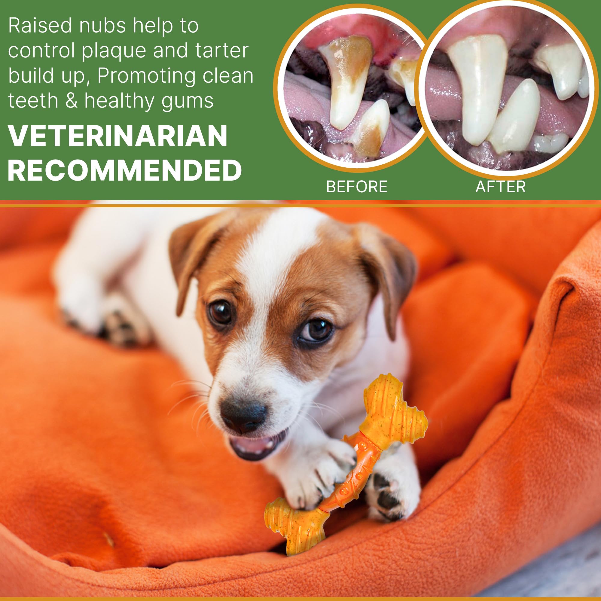 Spot Bam-Bones Dental Bone - Made With Bamboo Fiber And A Massaging Rubber Center, Durable Oral Care Dog Chew For Light Chewers & Teething Puppies Under 25Lbs, 6In Allergen Free Peanut Butter Flavor