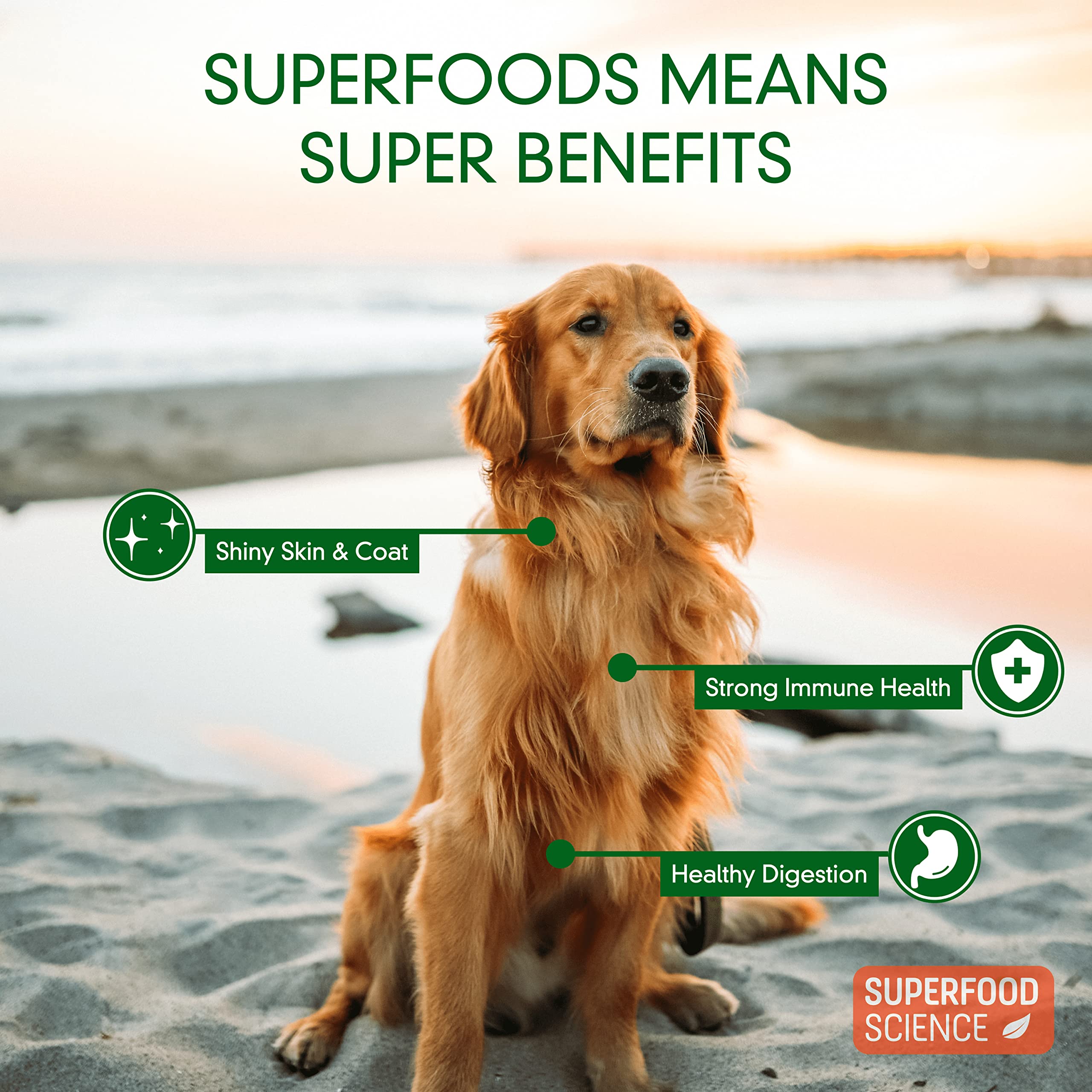 Hypoallergenic Healthy Dog Treats: Plant-Based Vegetarian Dog Snacks w/ Kelp, Sweet Potato, Chia, Flaxseed, Coconut Oil for Skin