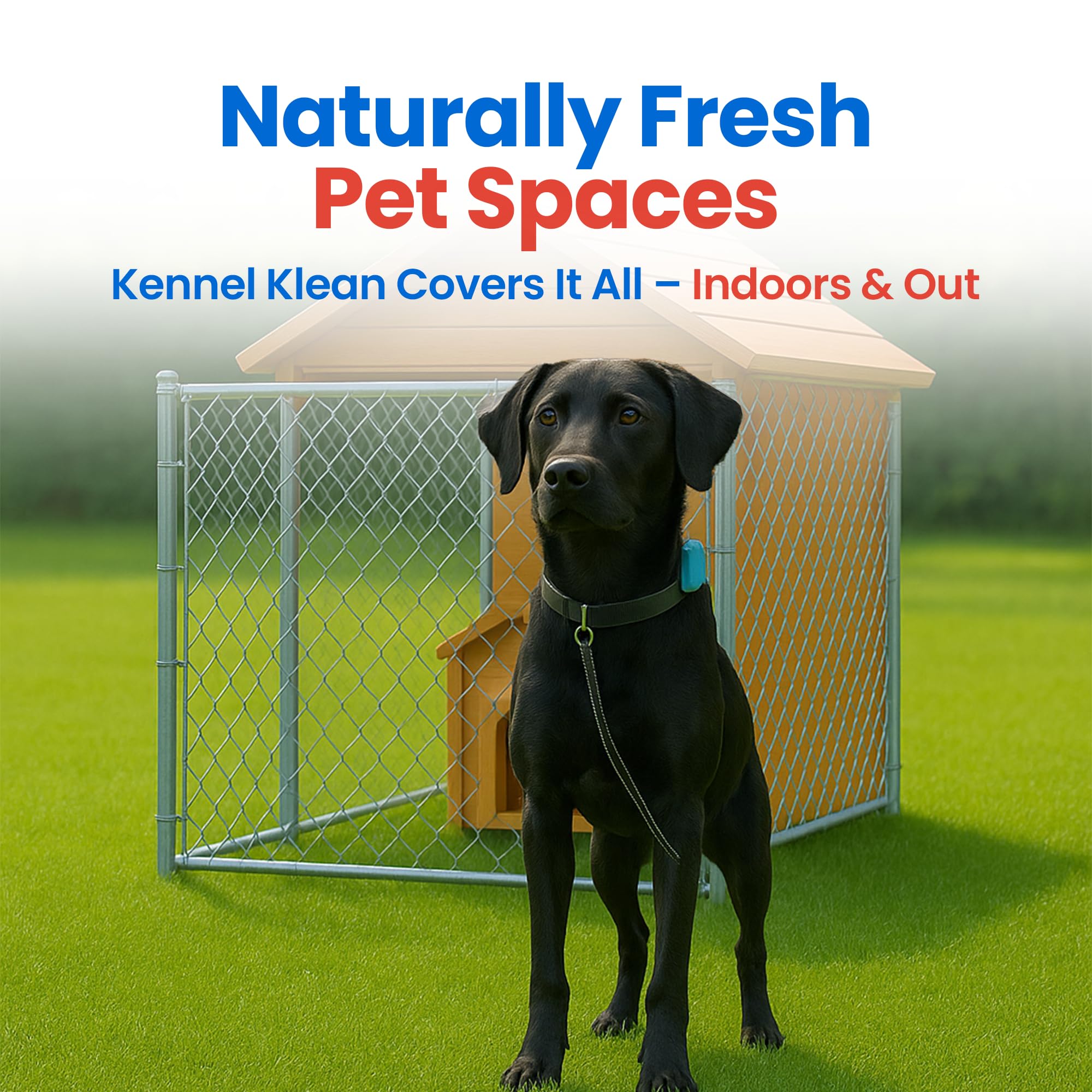The Nature Company Kennel Klean - Dog Kennel Cleaner I 4 Gallon Mix I Natural Refresher for Dogs & Cats | Safe & Effective Clean