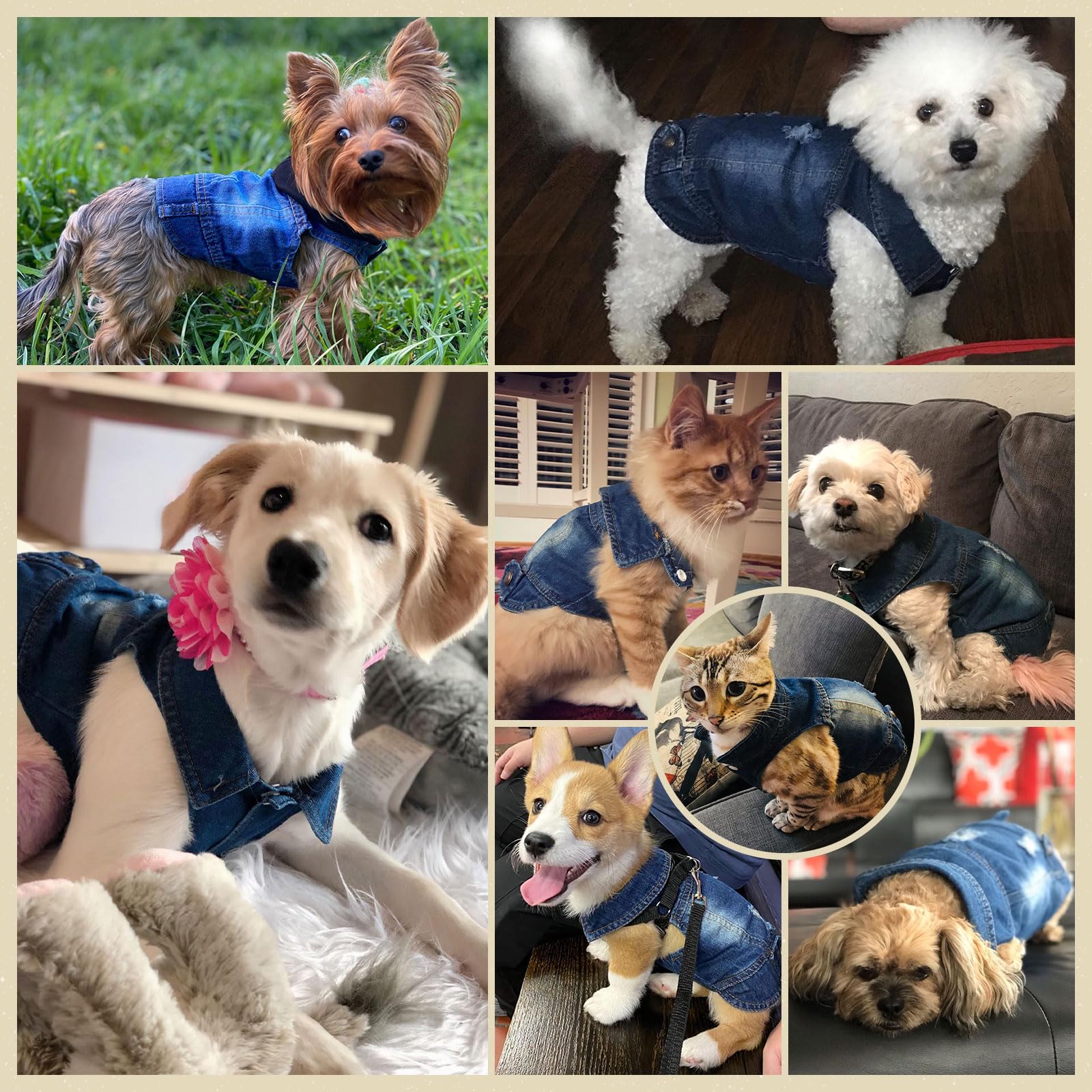 Doggyzstyle Cool Blue Dog Jean Jacket Small Pet Outfits Dog Clothes For Small Medium Dogs Cats Boys Girls Pet Vest Denim Coats Puppy Shirts Doggy Costume Clothing For Shih Tzu Chihuahua Yorkie Teacup
