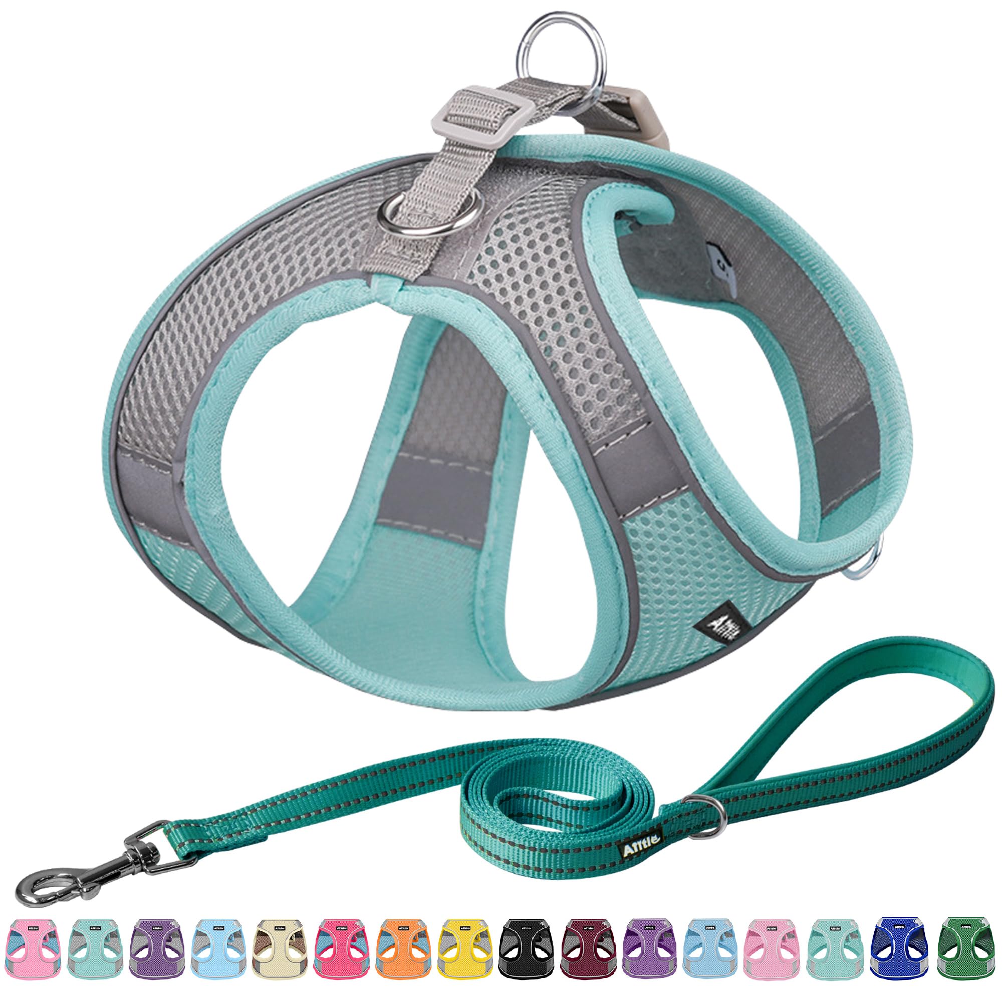 Aiitle Easy Walk Dog Harness And Leash Set - No Pull, Step In Adjustable Dog Harness With Padded Vest For Small Dogs, Turquoise 