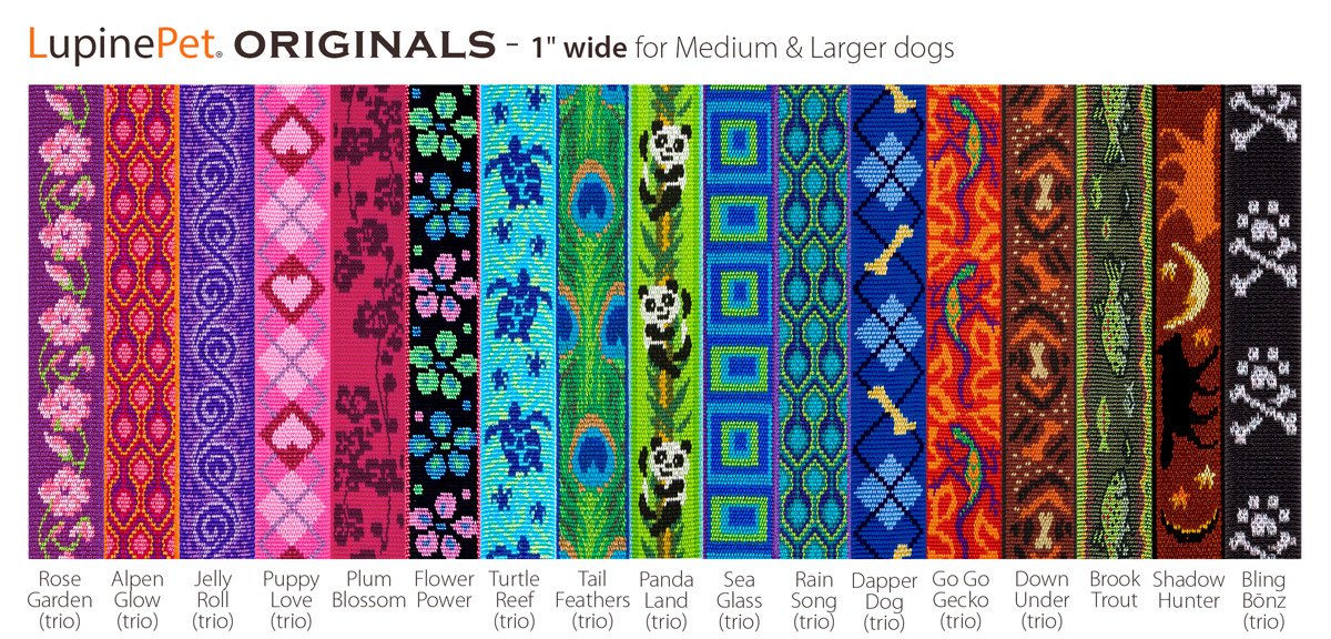 Lupinepet Originals 1' Rain Song 12-20' Adjustable Collar For Medium And Larger Dogs