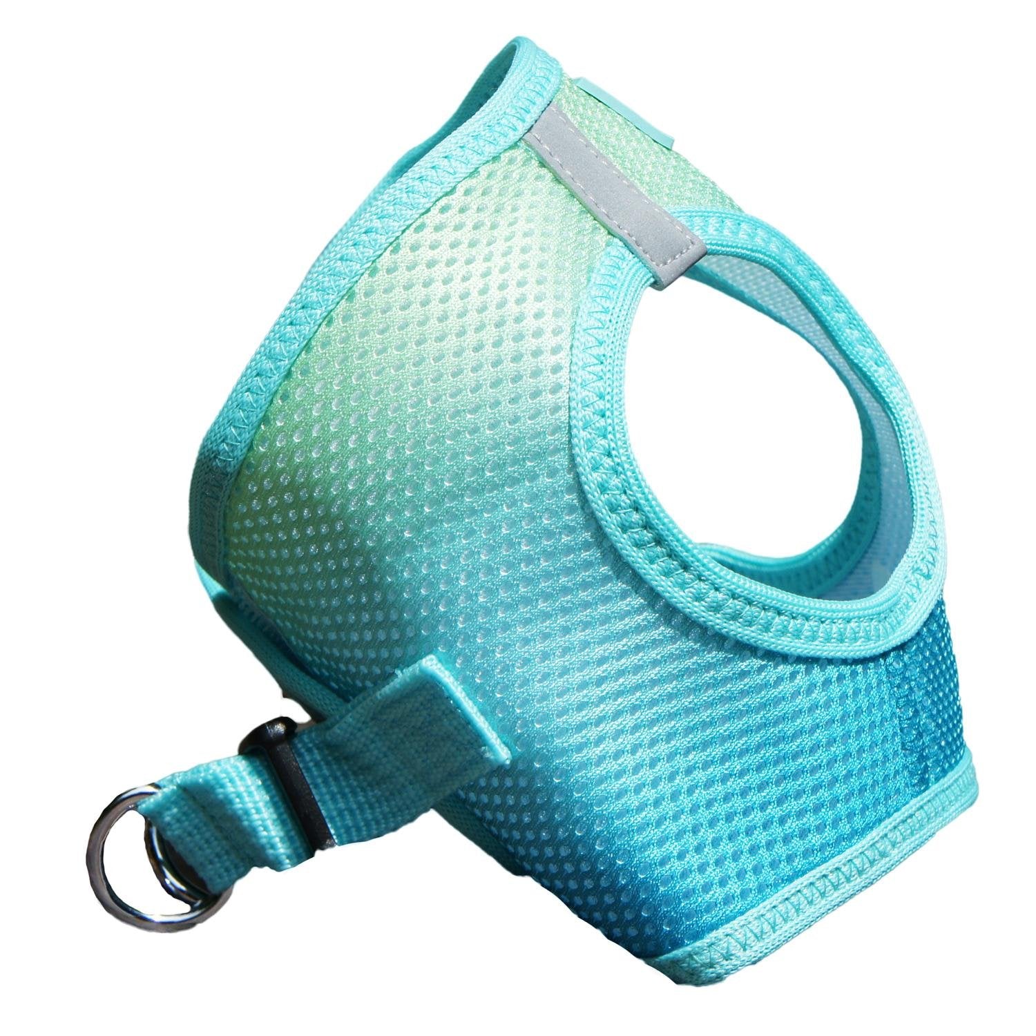 Doggie Design No Choke Dog Harness - Simple Step-in and Go Dog Vest for Small, Medium, and Large Breeds - Breathable Mesh Polyester Pet Harness - Aruba Blue - 2XL