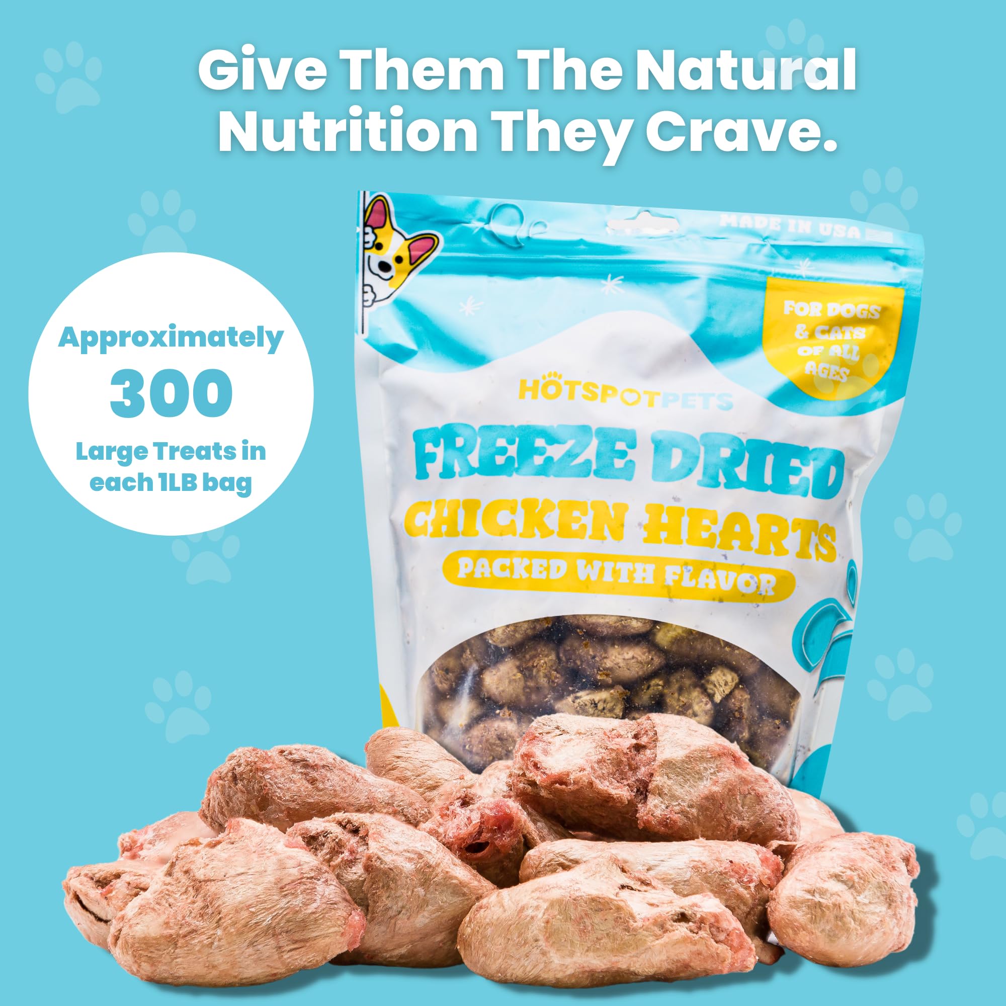 hotspot pets Freeze Dried Chicken Hearts for Cats & Dogs - 1LB Big Bag- Made in USA -Single Ingredient All Natural Grain-Free -R