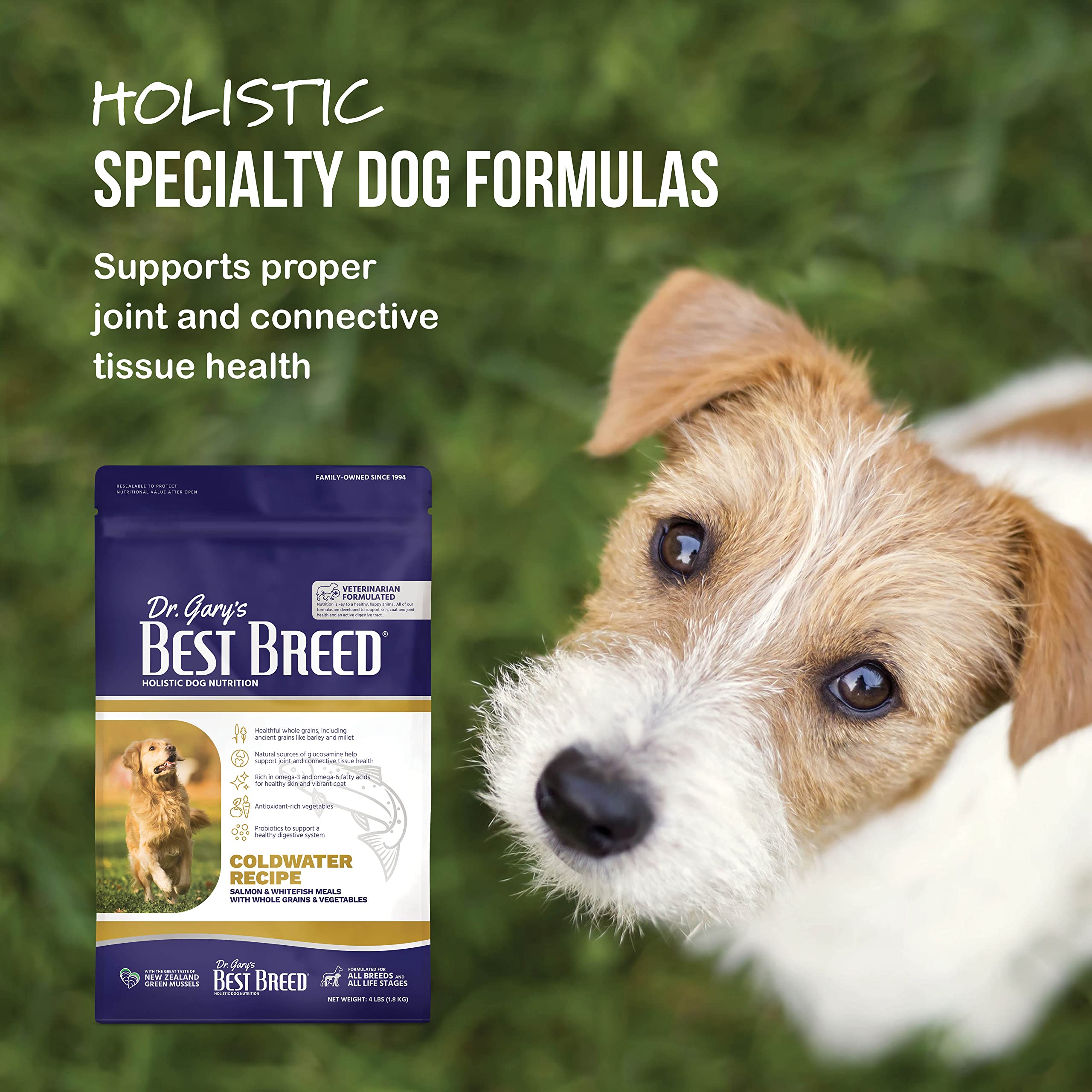 Dr. Garys Best Breed Coldwater Recipe Slow-Cooked in USA, Natural Dry Dog Food for All Breeds and Sizes, 4lbs