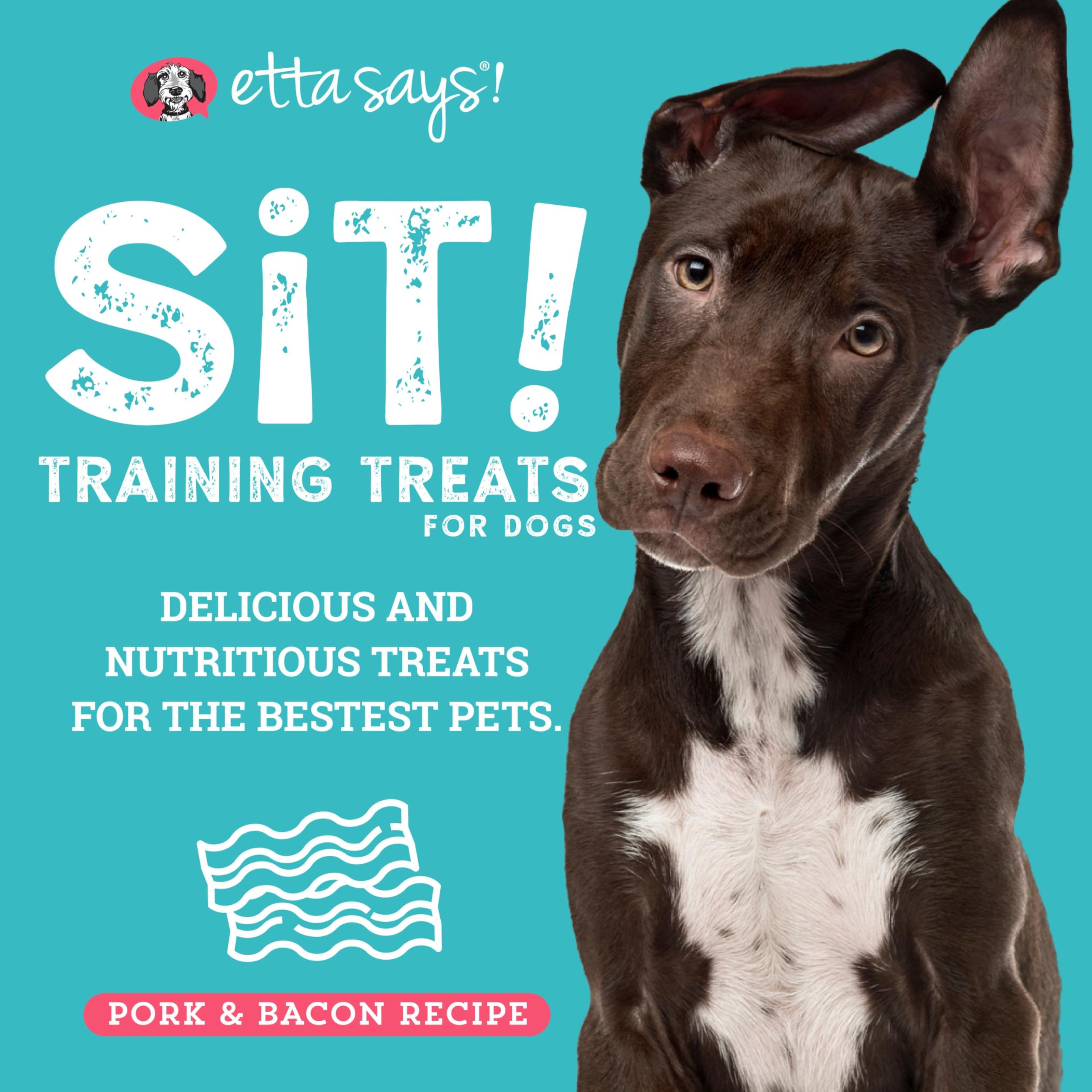 ETTA SAYS! Sit Bacon Training Treats for Dogs 16 Ounce Soft Dog Treats - Made in The USA Dog Treats, Limited Ingredients, Low Ca